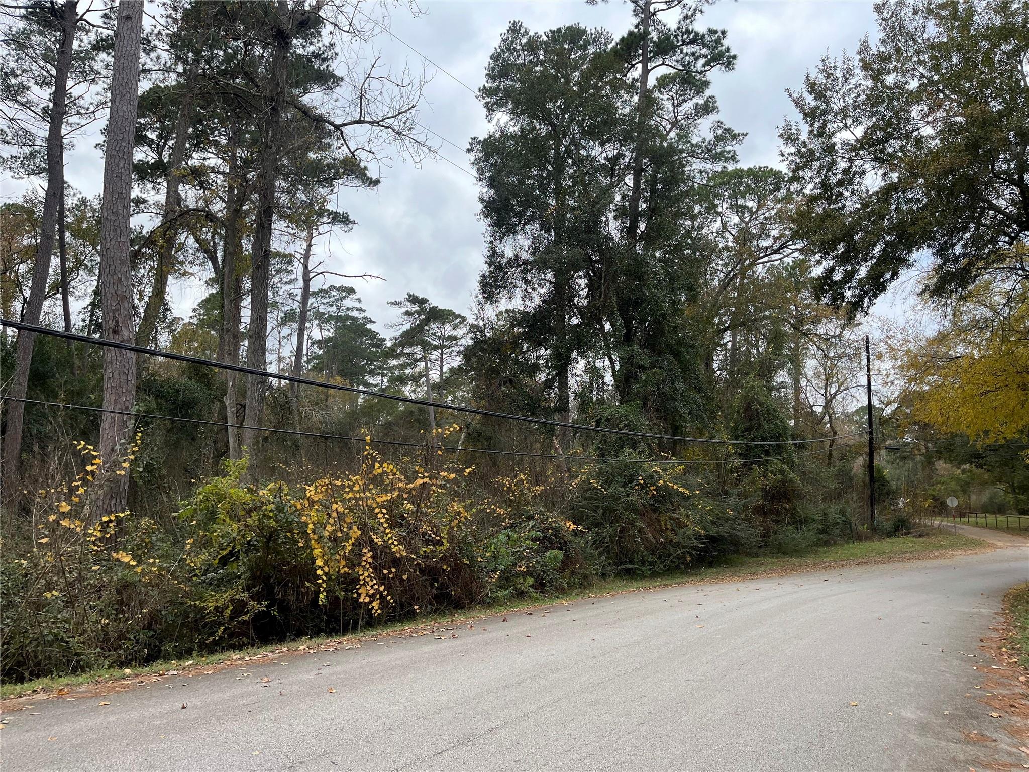 0 TBD Cripple Creek Dr