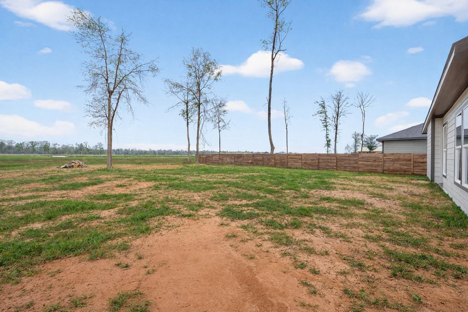 1105 Peter Pine Street