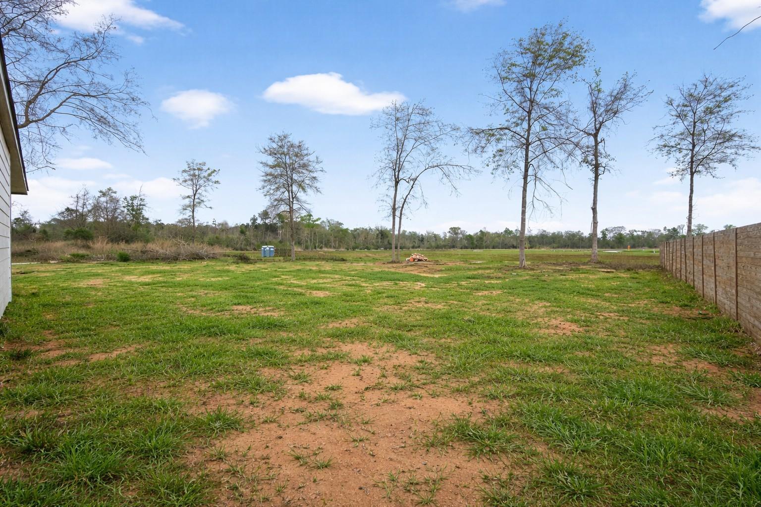 1105 Peter Pine Street