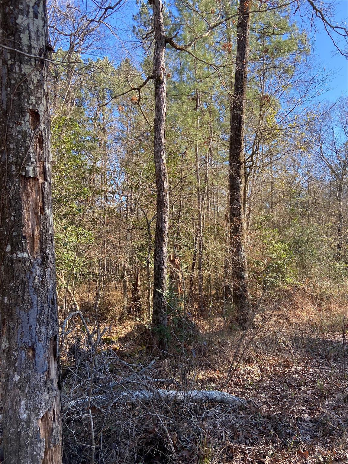 Lot 14 Sherwood Drive