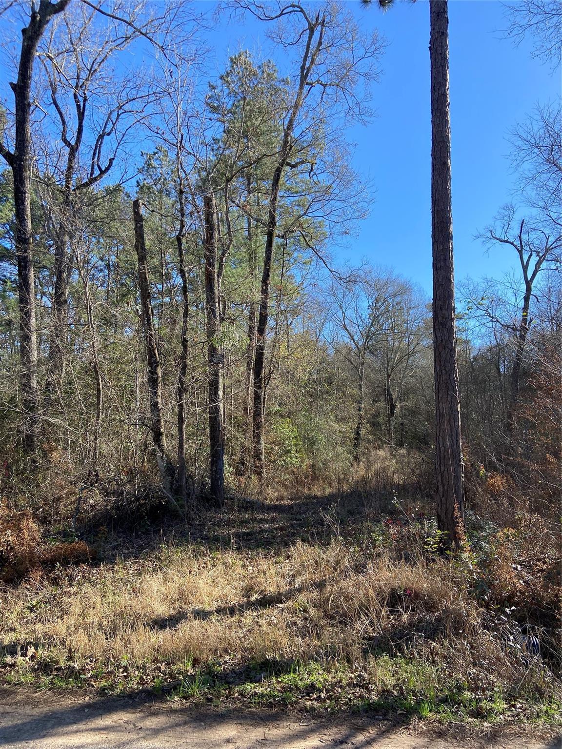 Lot 14 Sherwood Drive