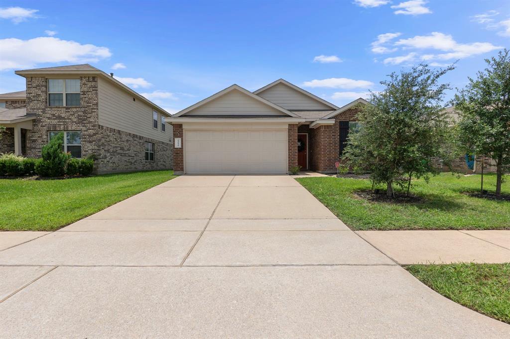23131 Royal Tiger Road