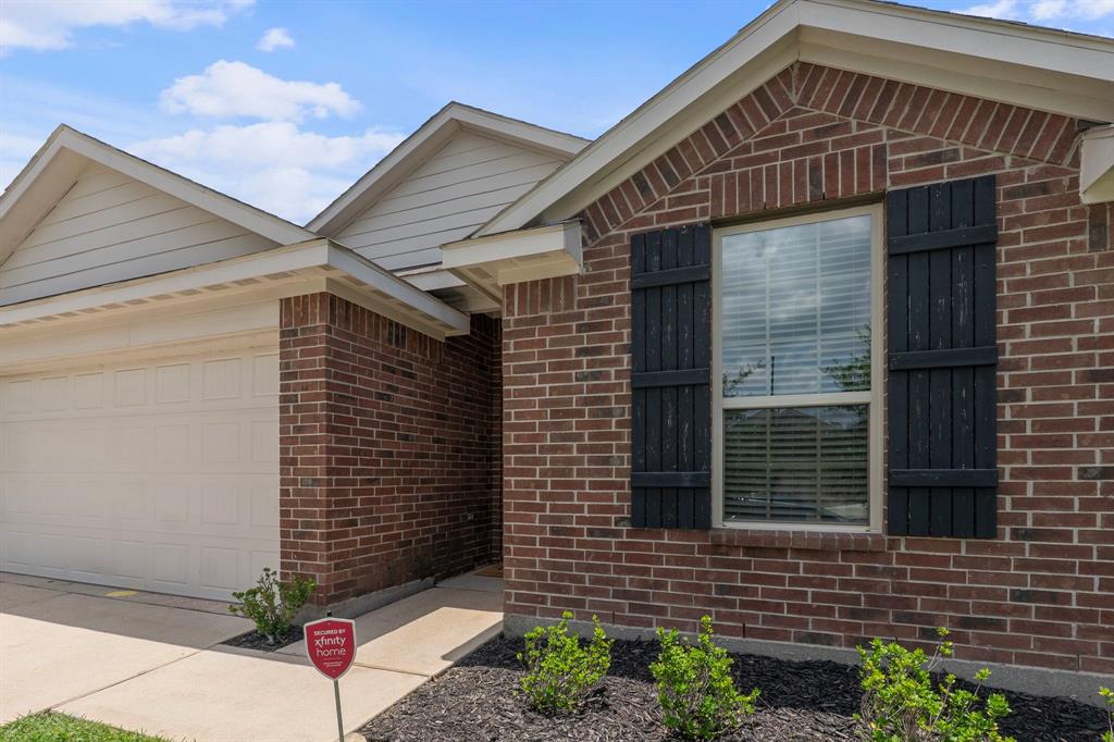 23131 Royal Tiger Road