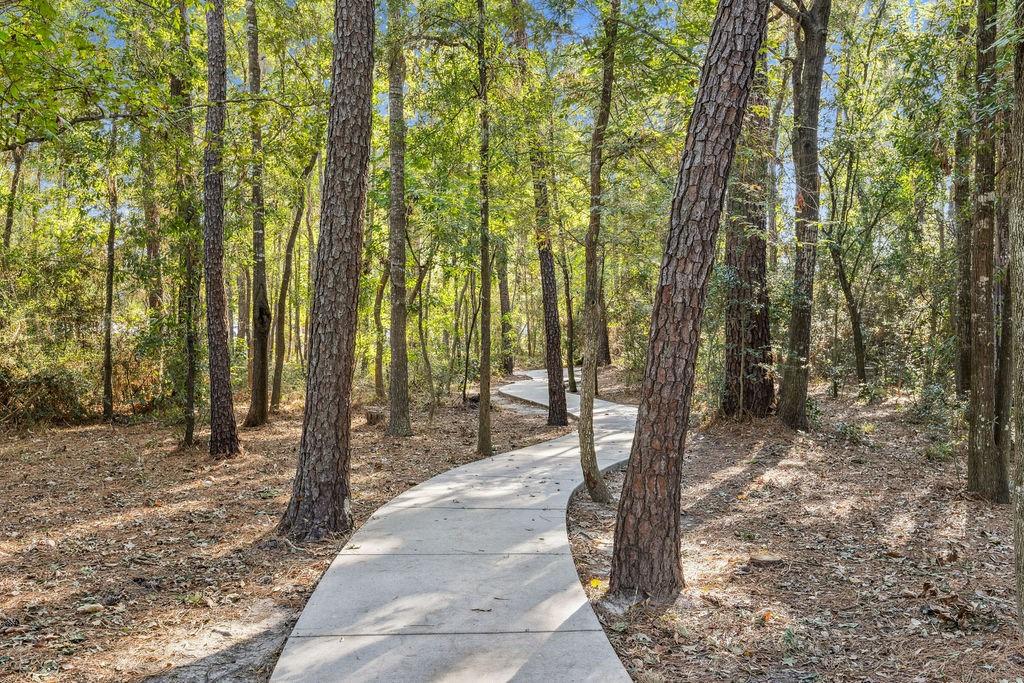 31306 Summit Grove Lane