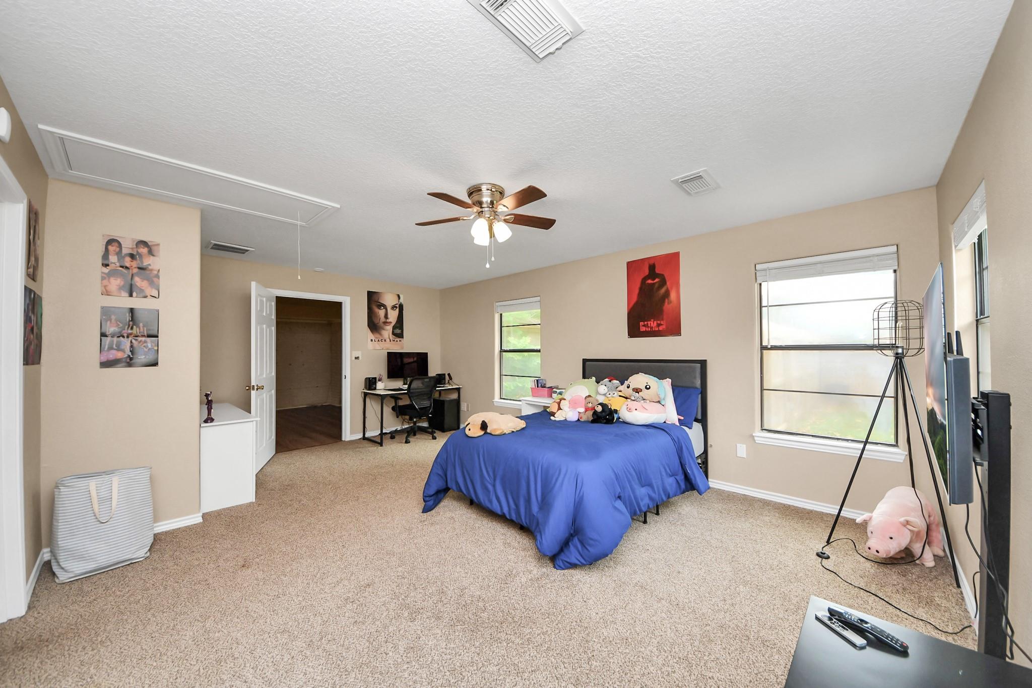 313 Linden Lane