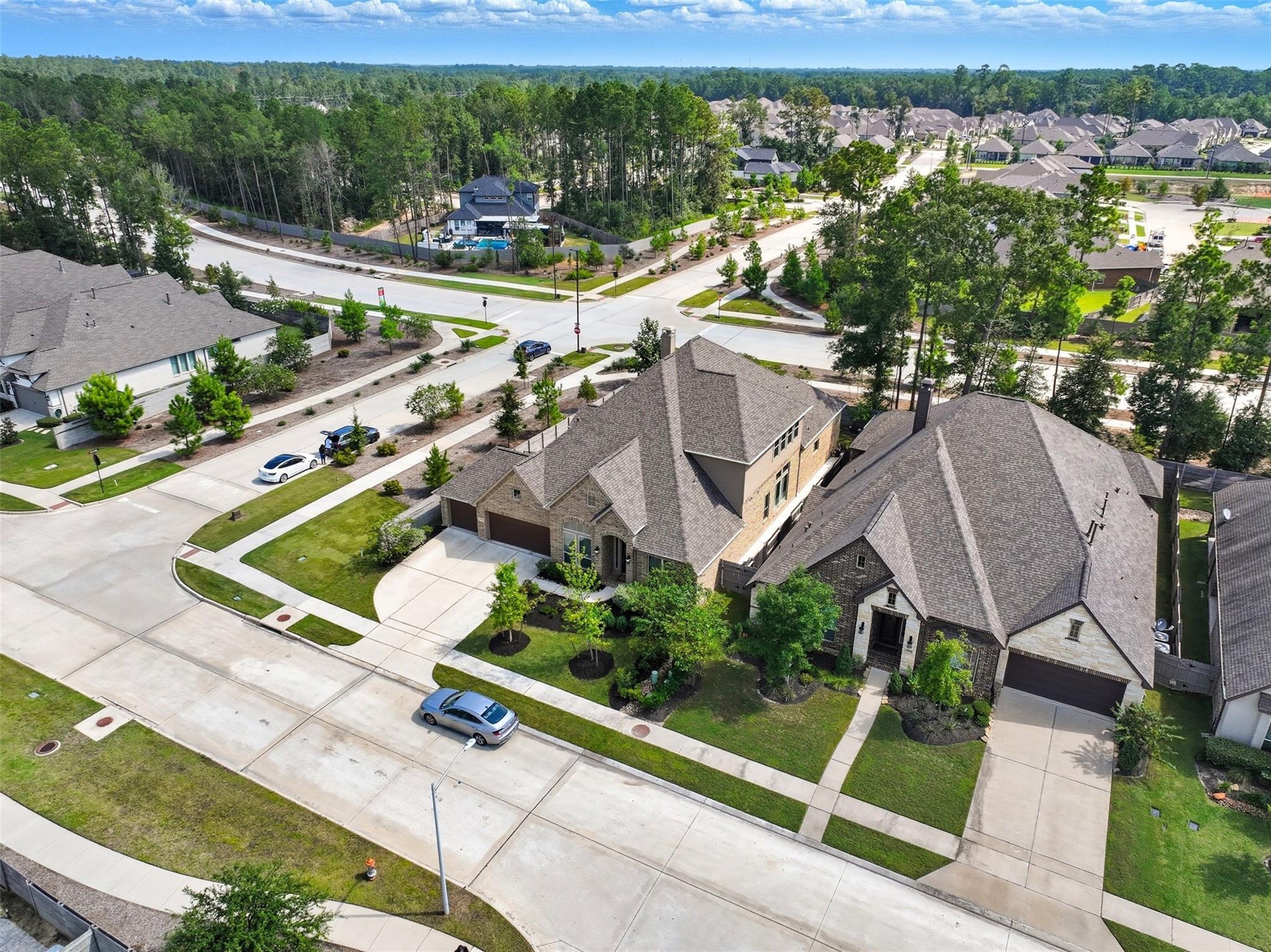 17335 Camillia Trails