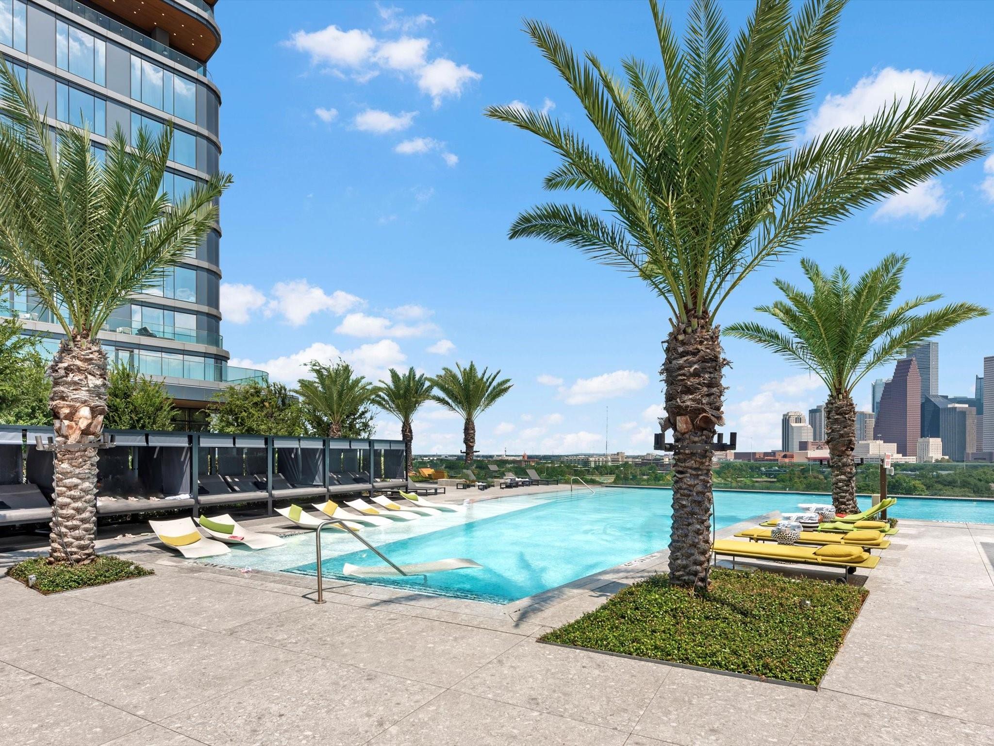 1711 Allen Parkway # 2102