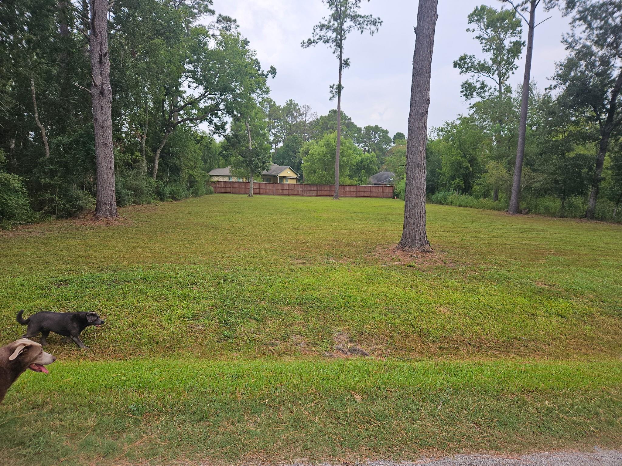 2211 Hickory Manor Drive