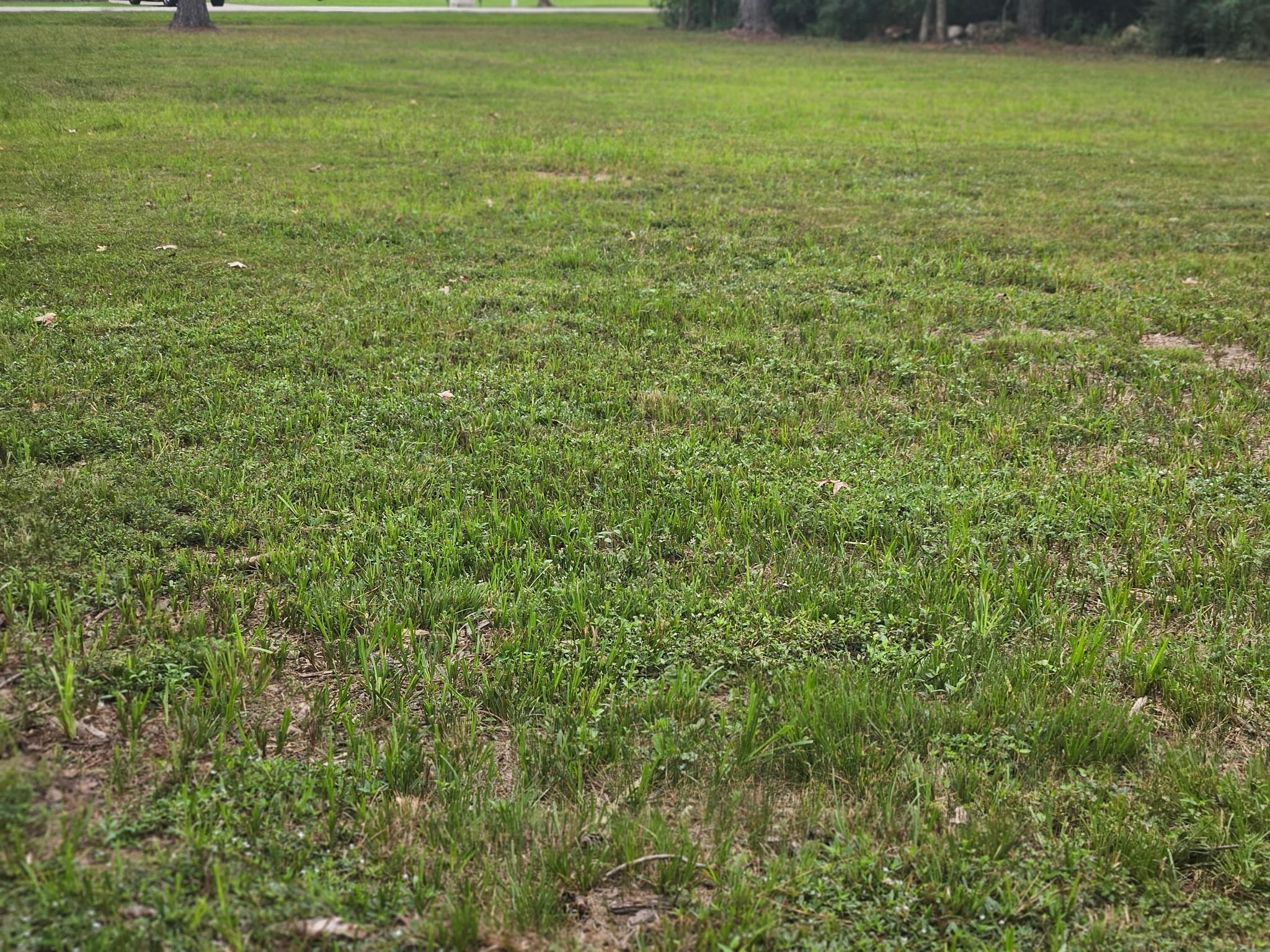 2211 Hickory Manor Drive