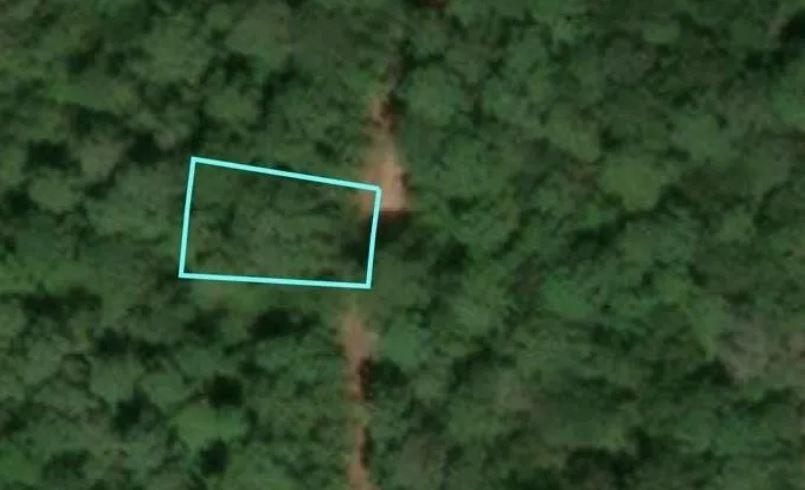 34191 White Feather Circle