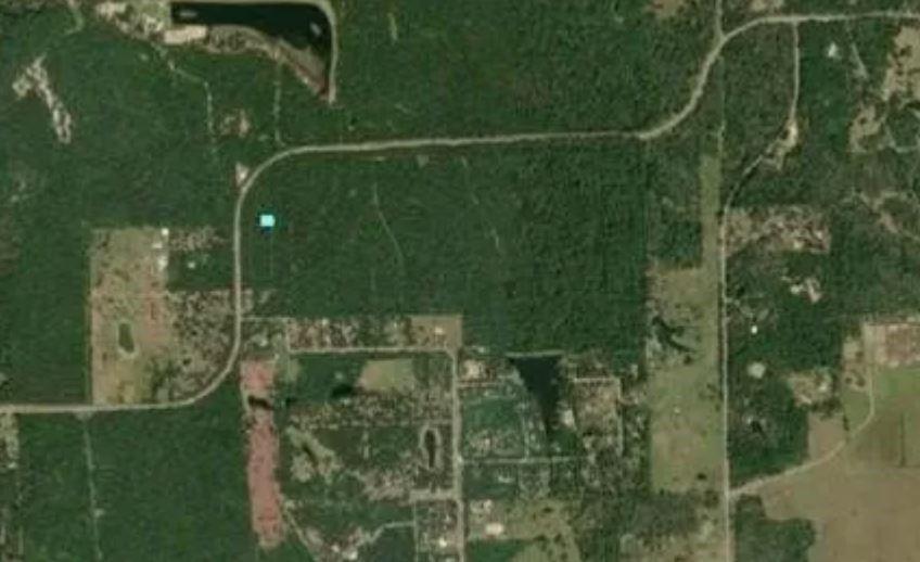 34191 White Feather Circle