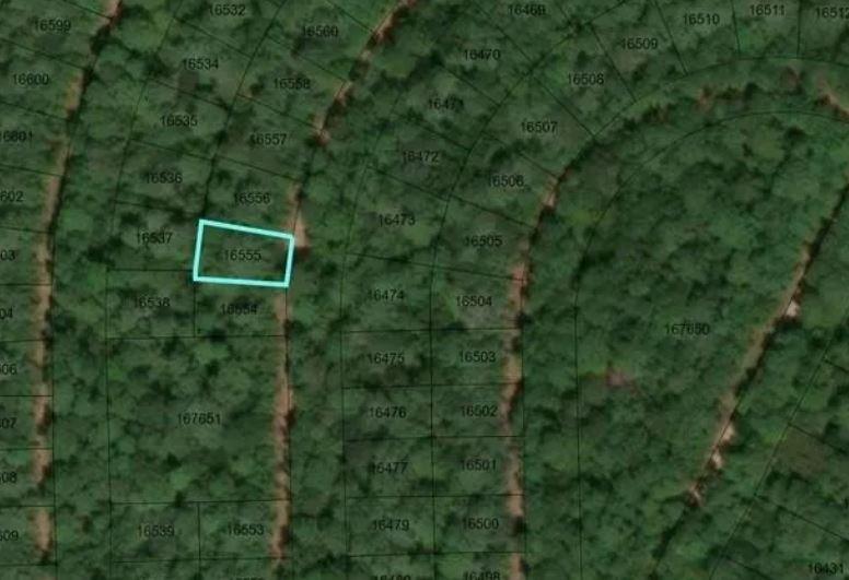 34191 White Feather Circle