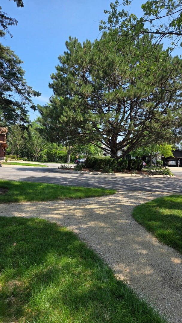 1415 Chartres Drive Unit: 1F