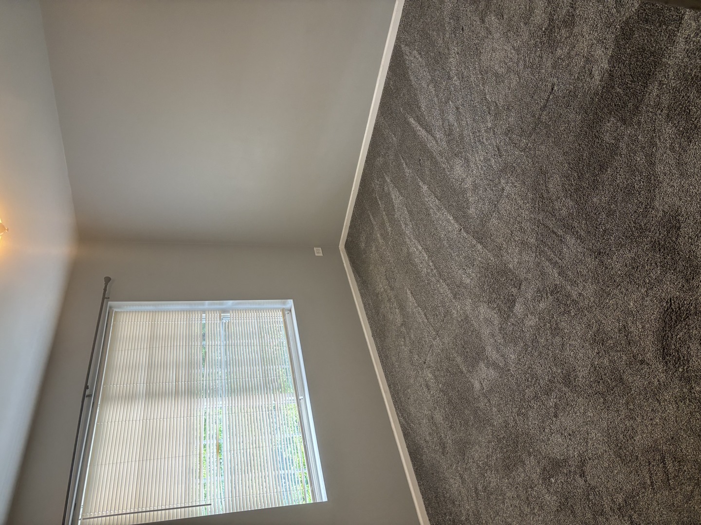 59 S Treehouse Lane S Unit: 59