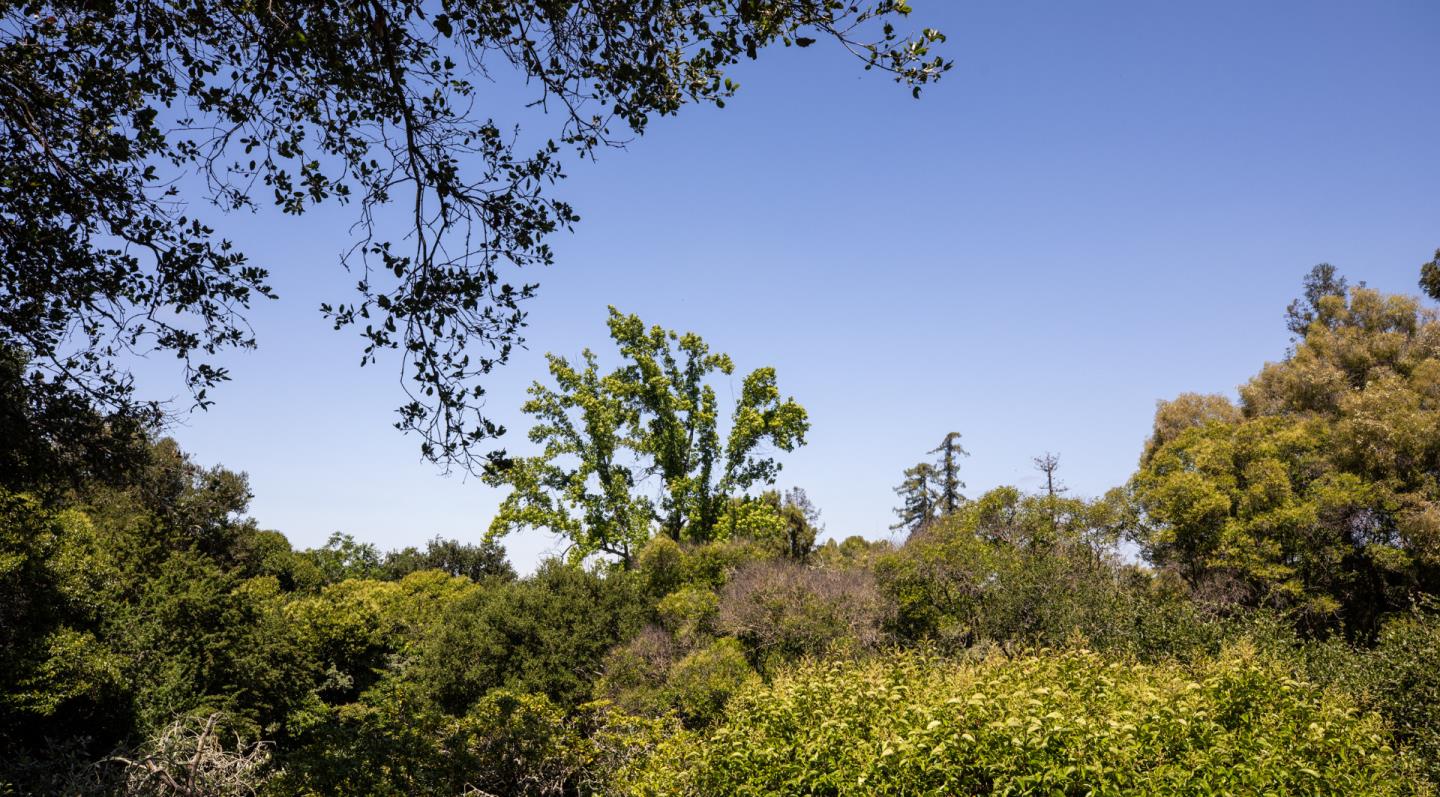 746 Santa Ynez Street
