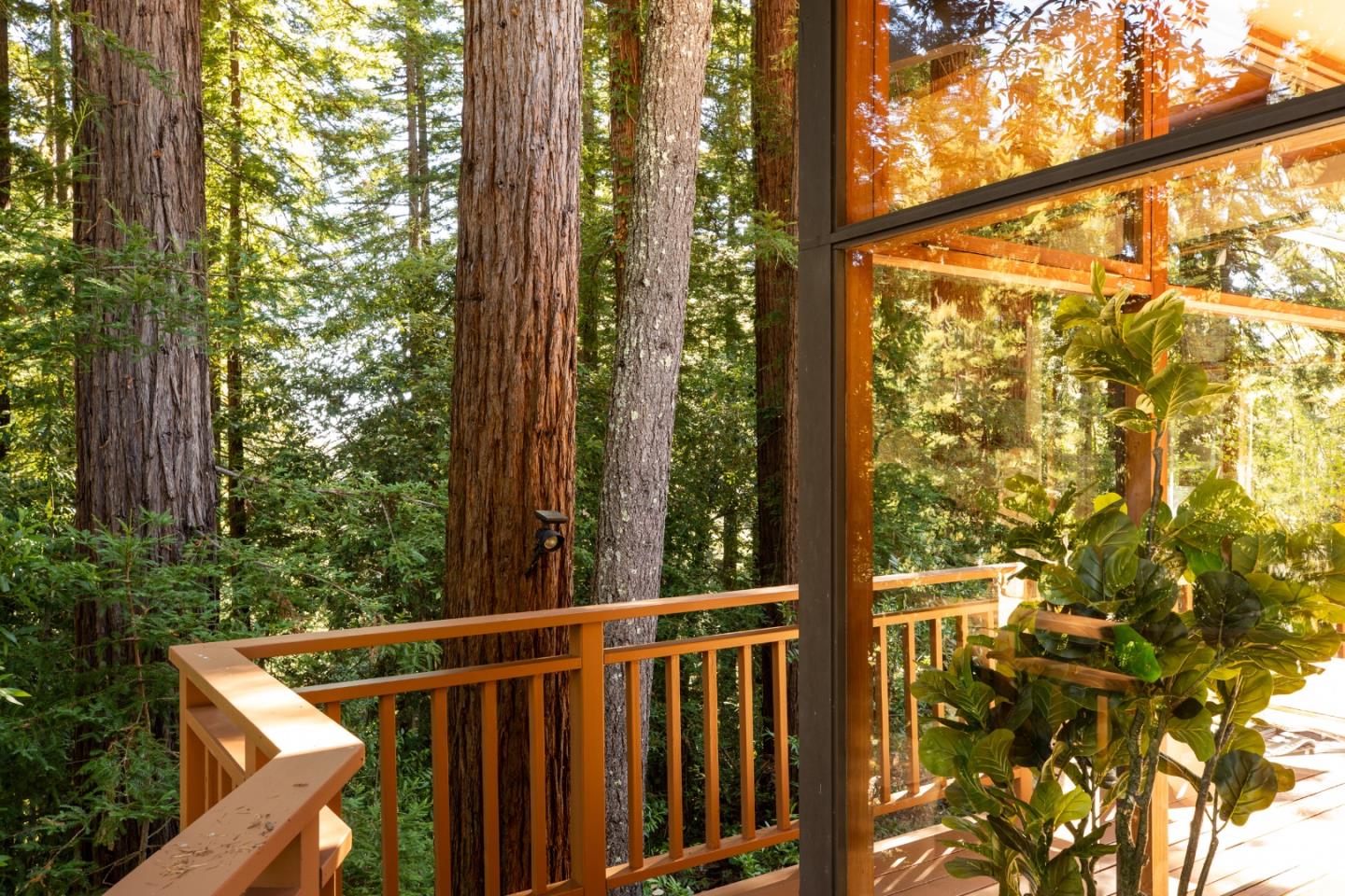 Wood deck beside reflective windows, surrounded by tall redwoods and dense forest.