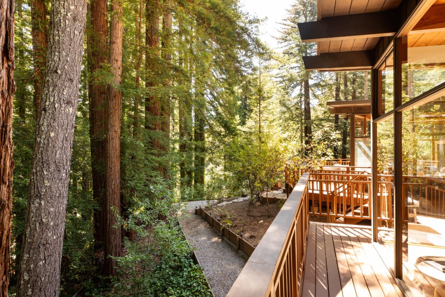 Wooden deck overlooking a redwood forest, with a gravel path winding below.