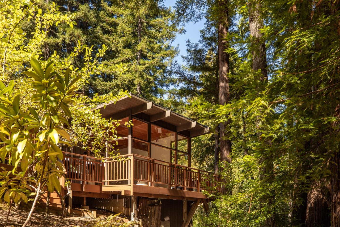 Modern timber-and-glass home with a raised deck nestled among redwood trees.