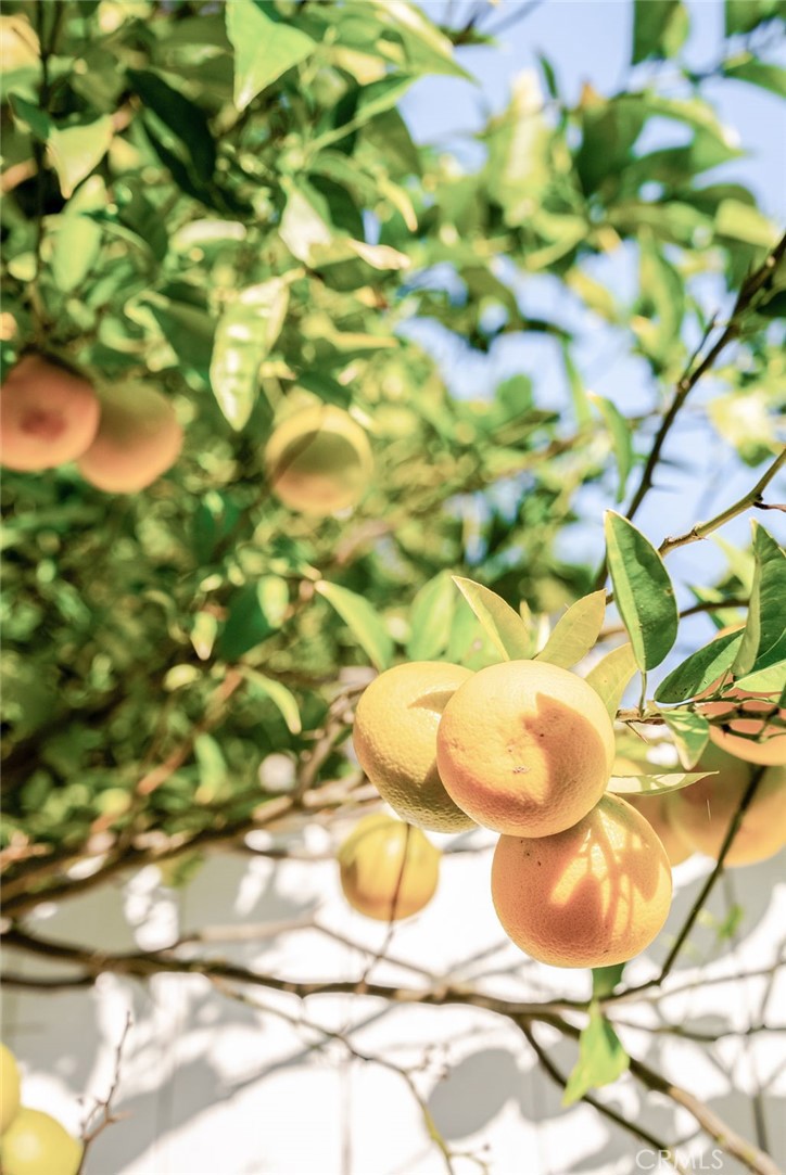 3205 Palos Verdes Drive N