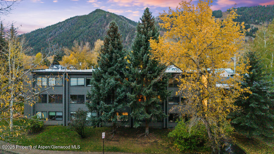 725 E Main Street 309