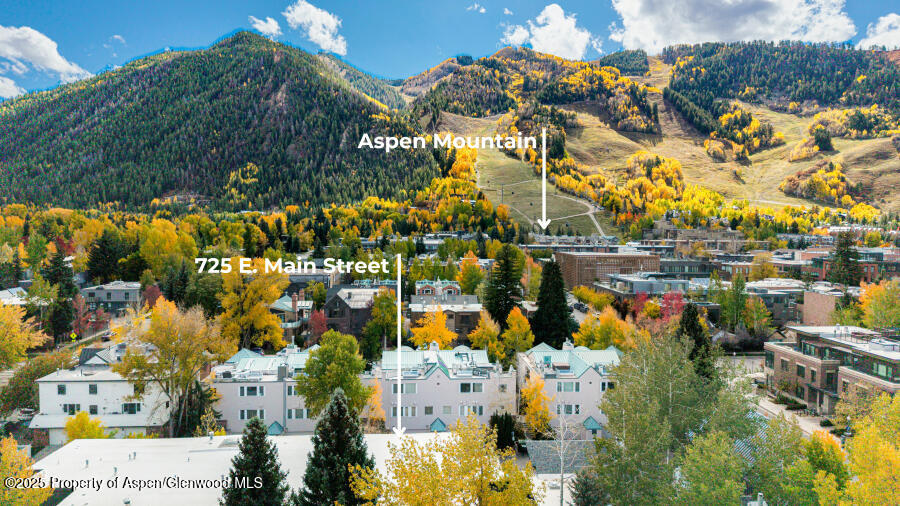 725 E Main Street 309