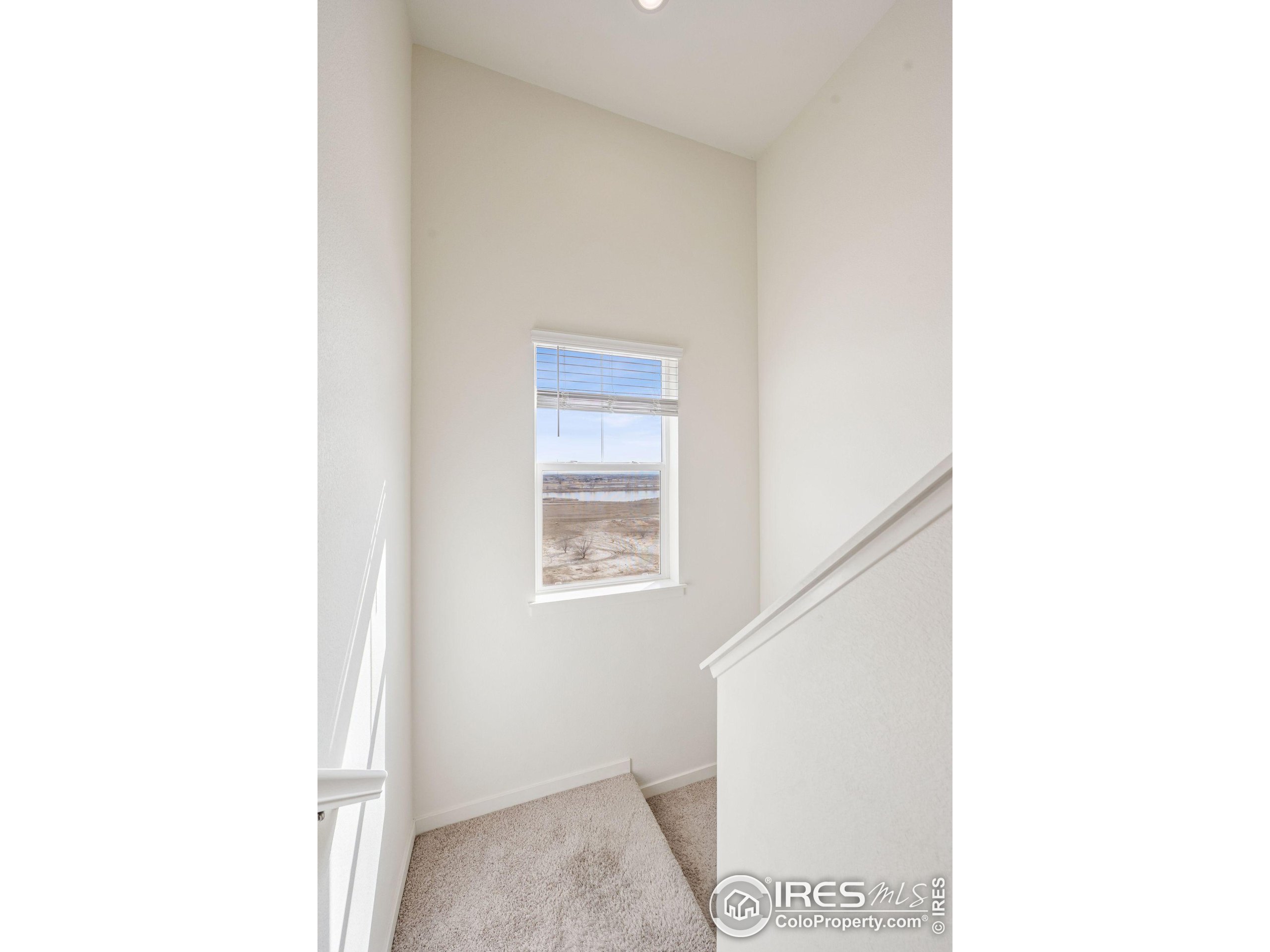 4401 Garnet Way