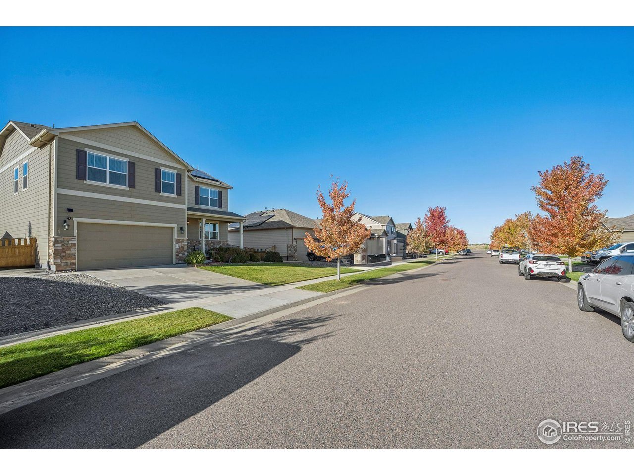 1019 Cable St Brighton