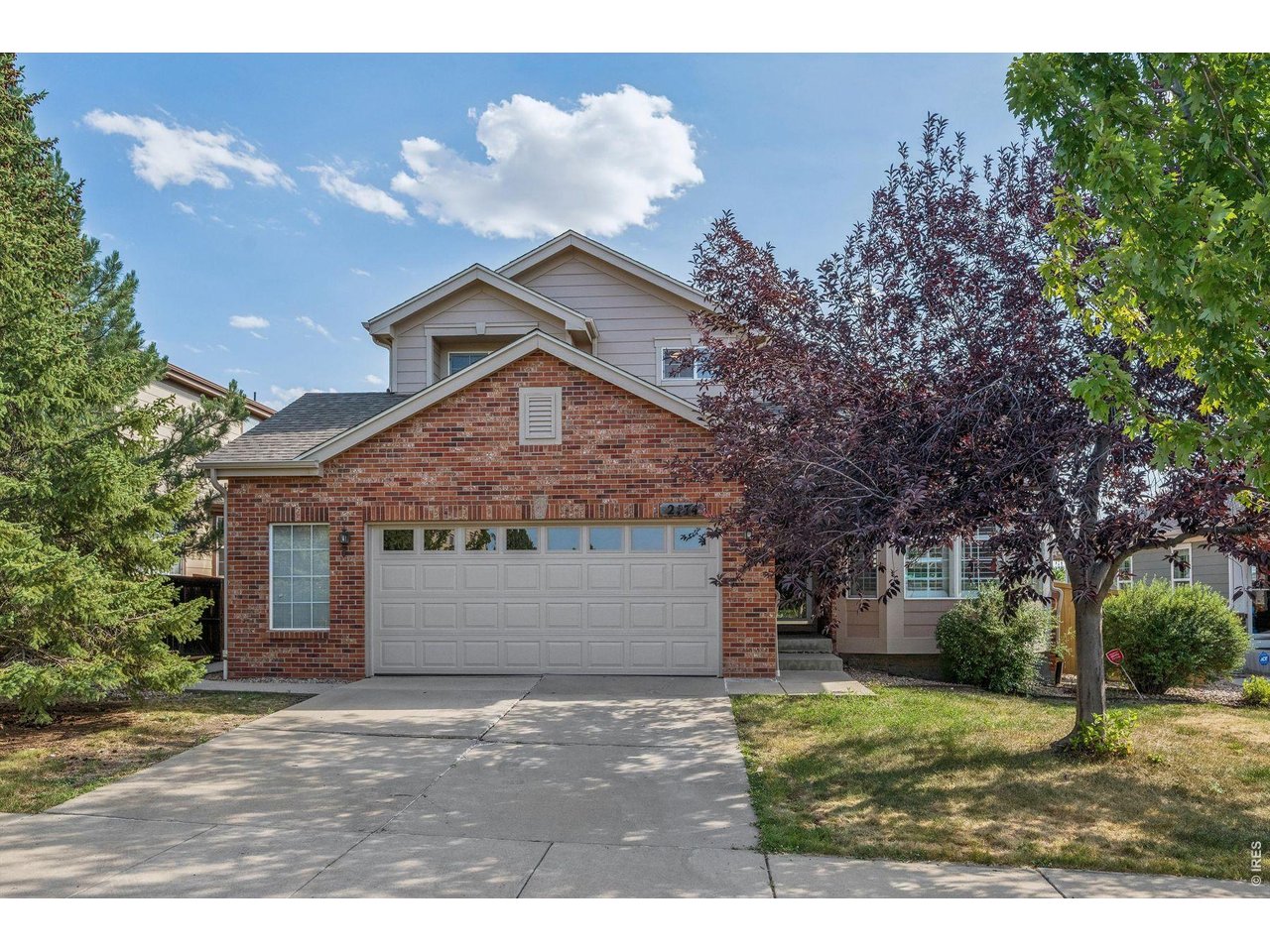 2174 Indian Paintbrush Way