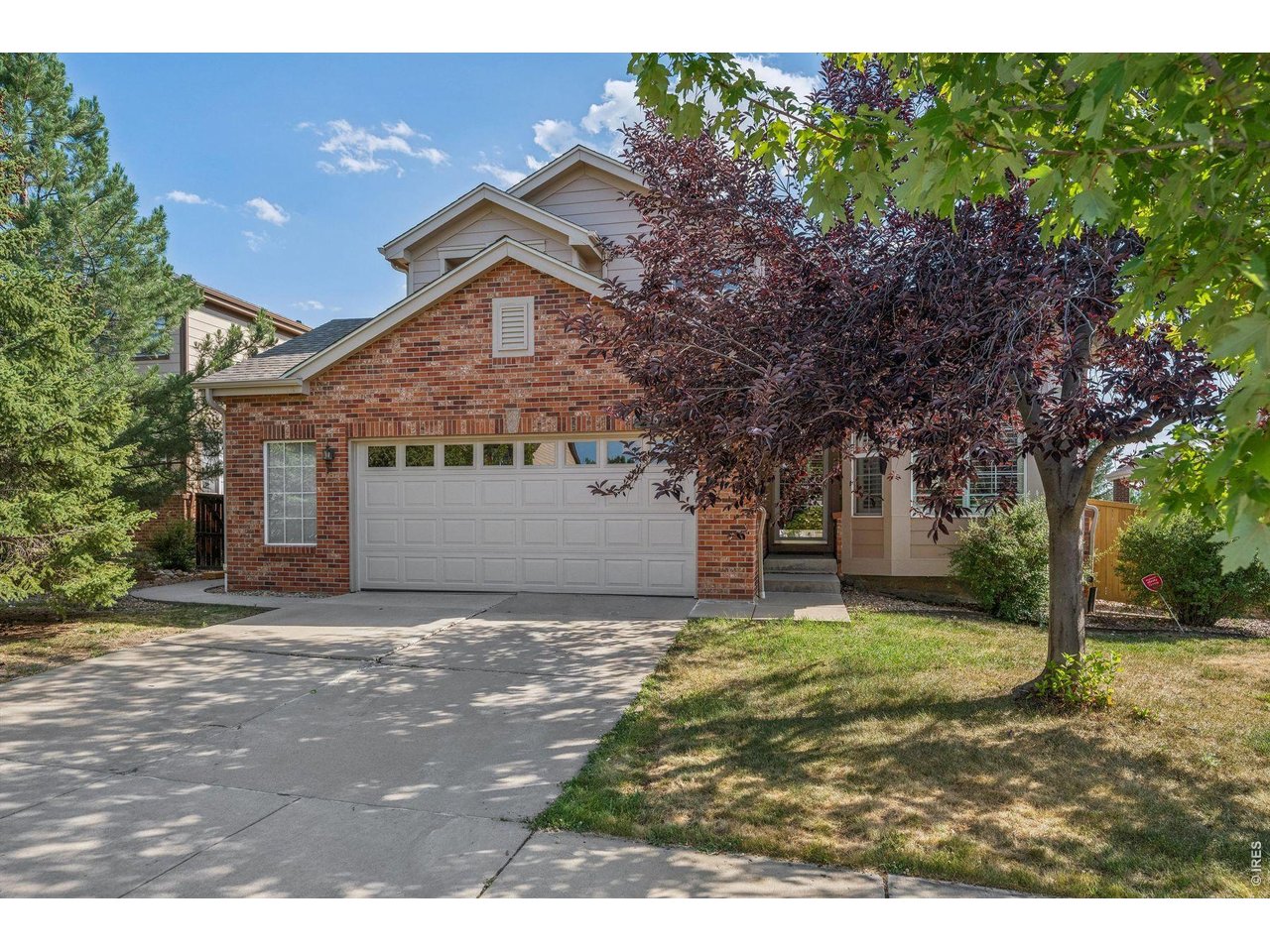 2174 Indian Paintbrush Way