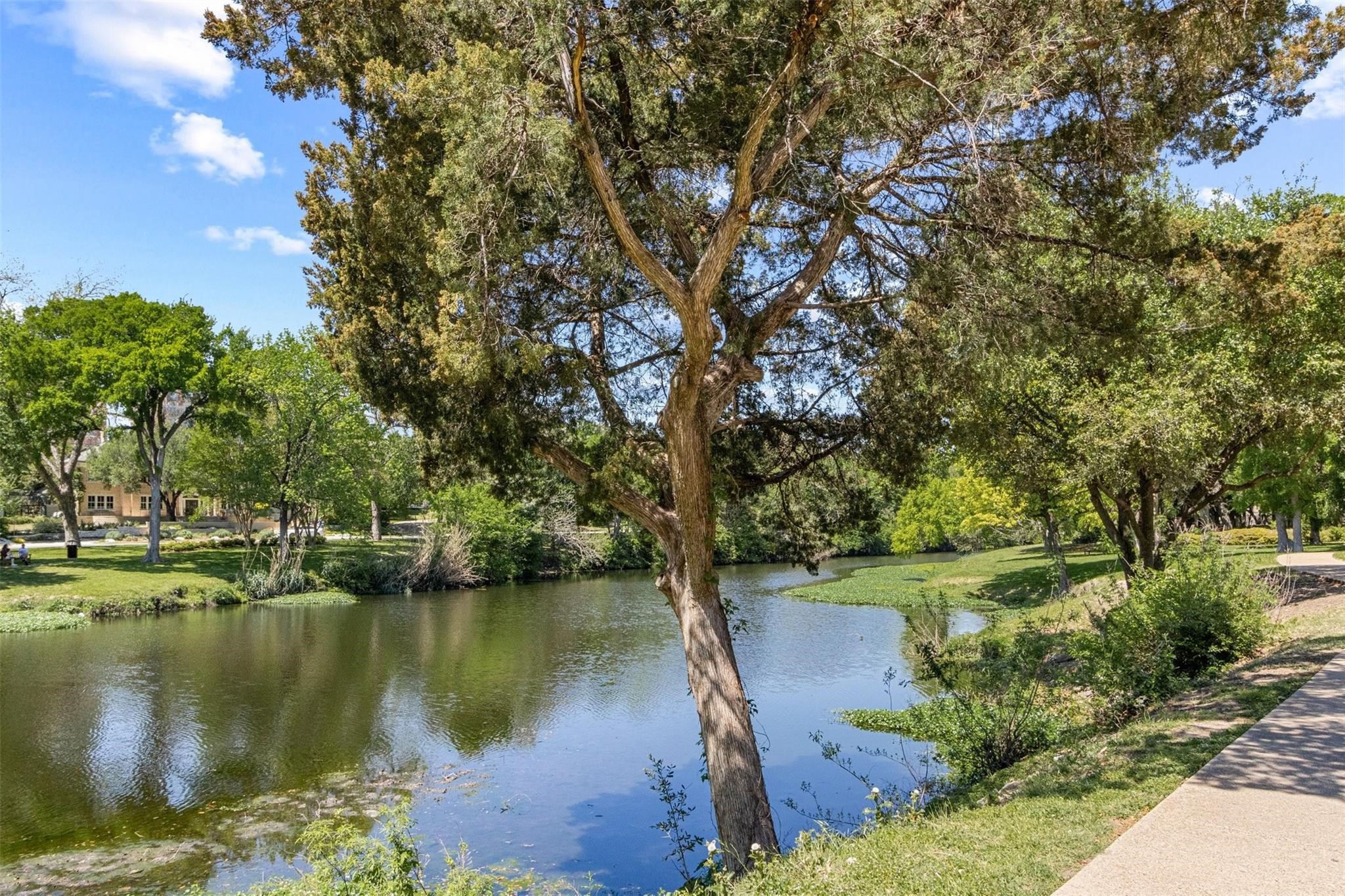 3701 Turtle Creek Boulevard 8J