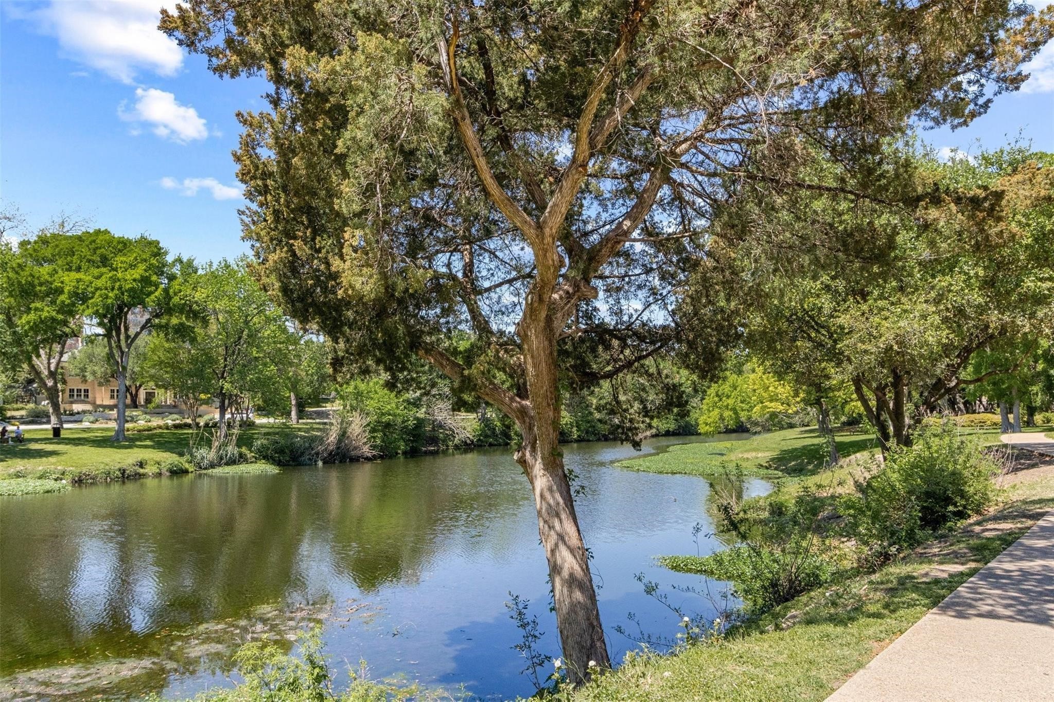 3701 Turtle Creek Boulevard 7E