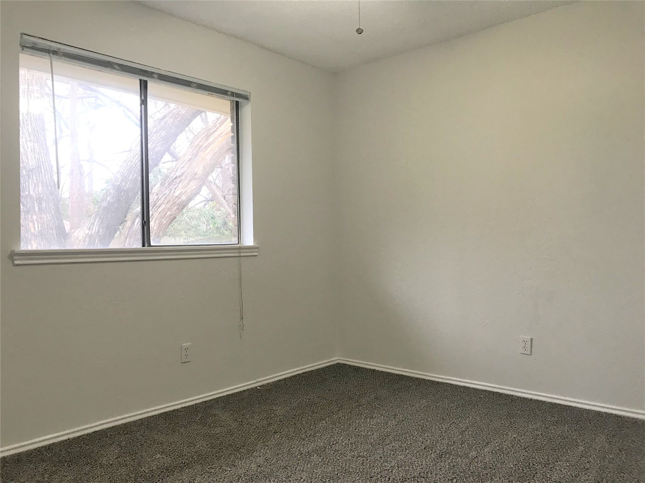 1613 Jasmine Lane