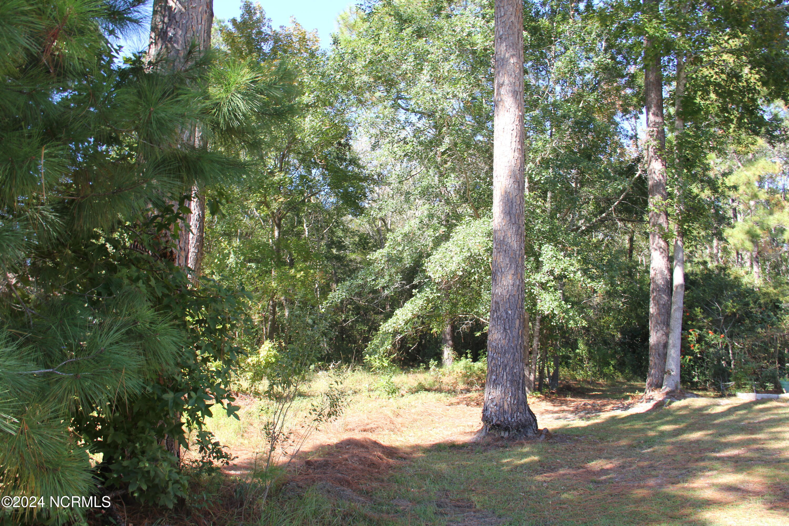 502 Night Heron Court
