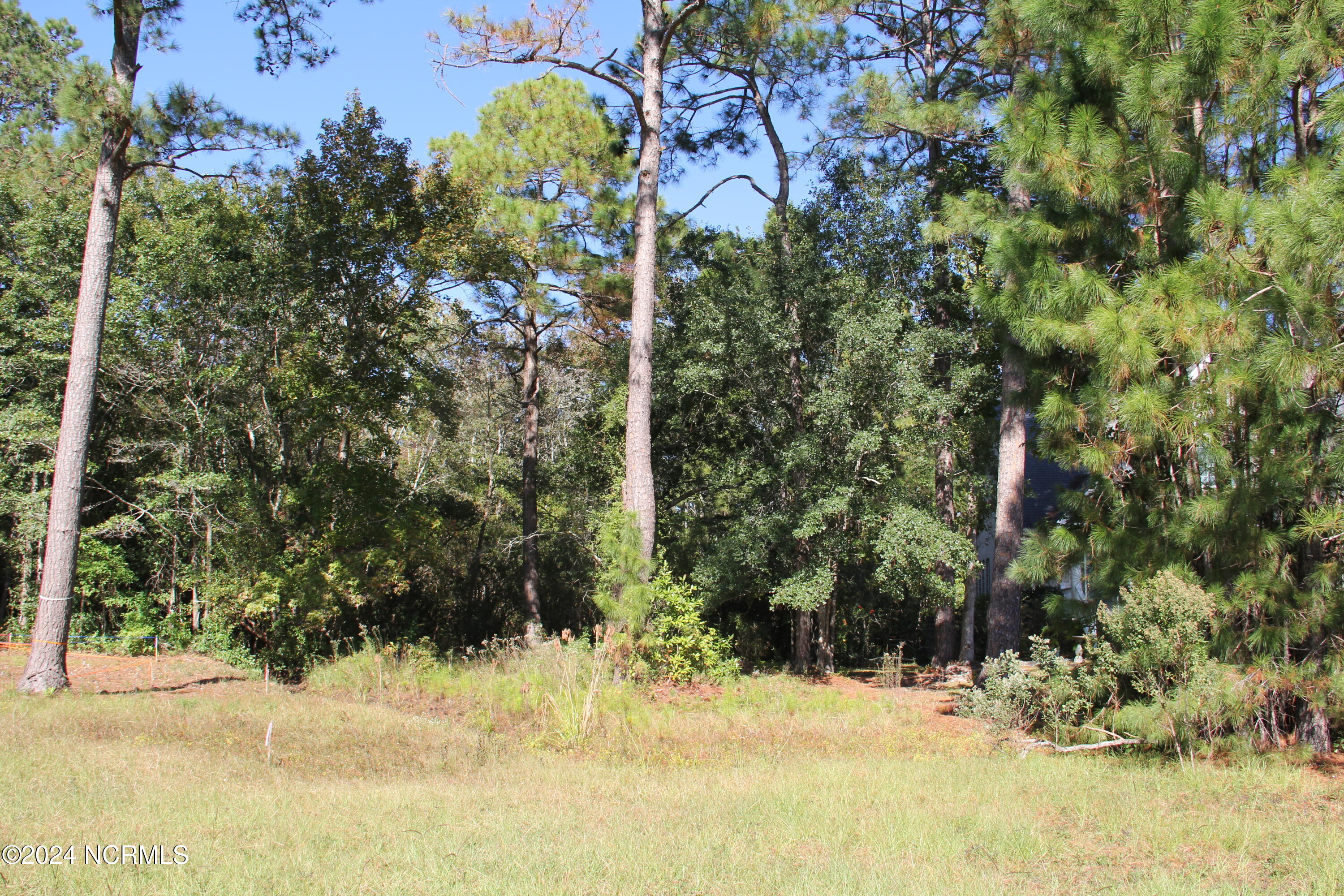 502 Night Heron Court