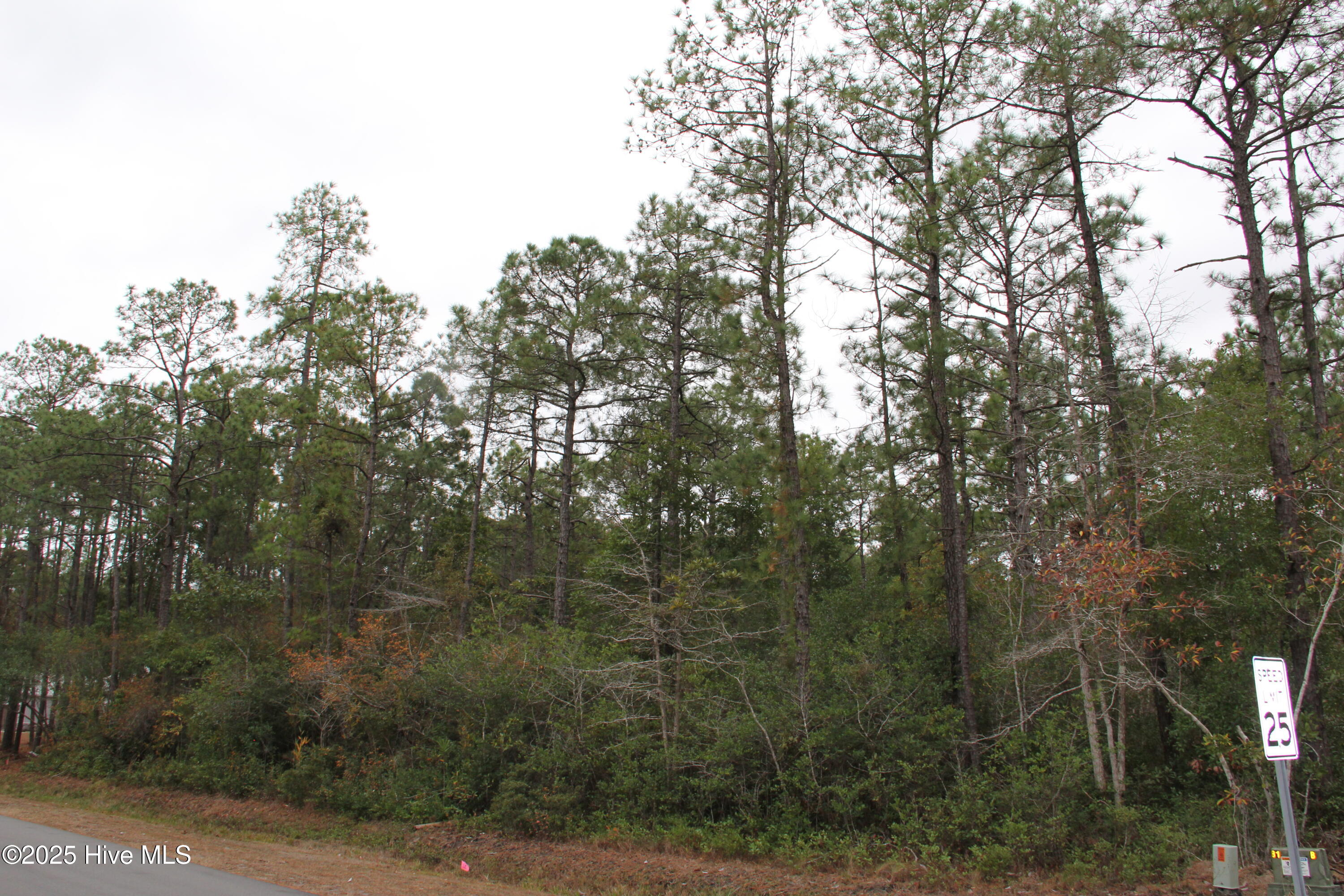 62 Pinewood Drive