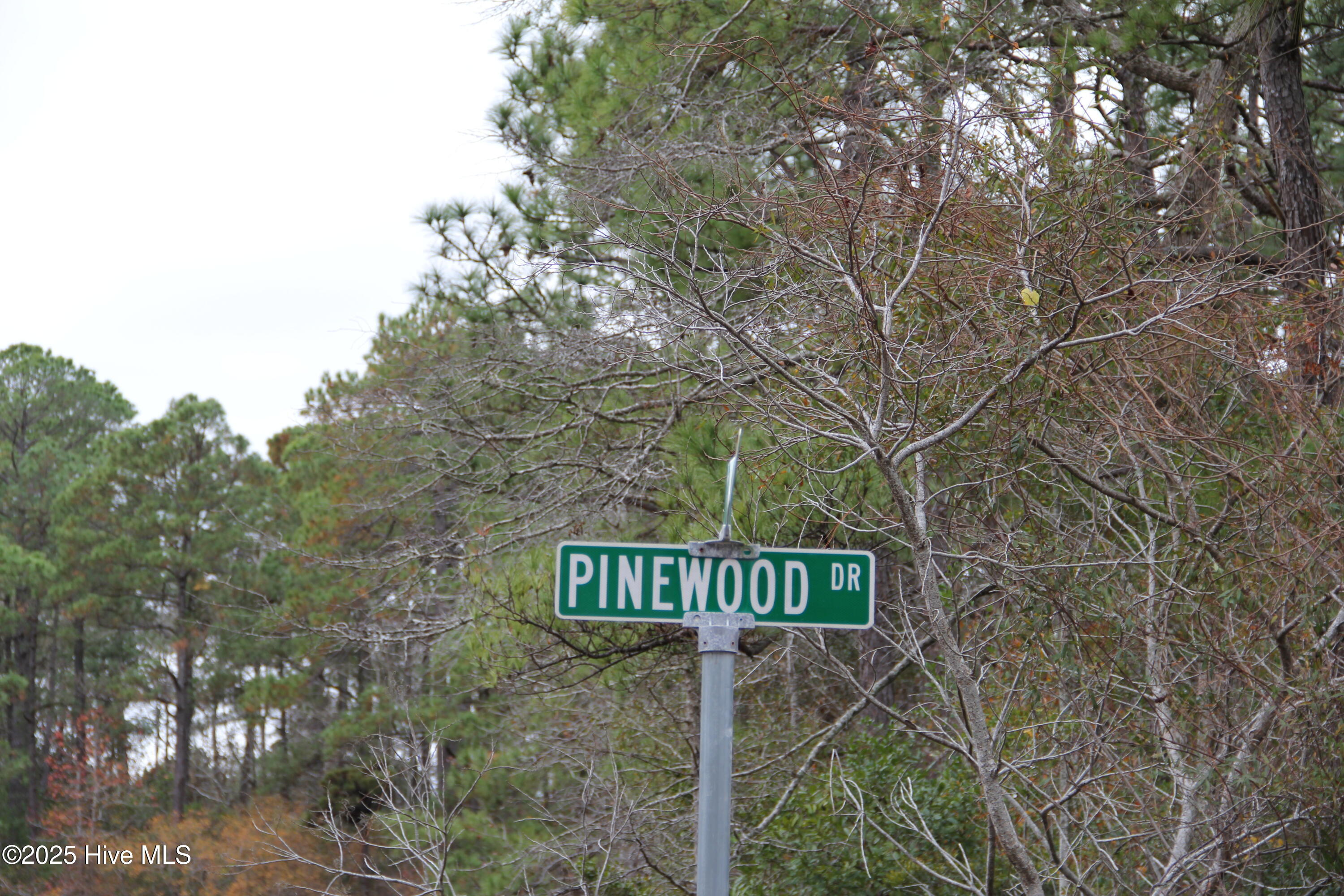 62 Pinewood Drive