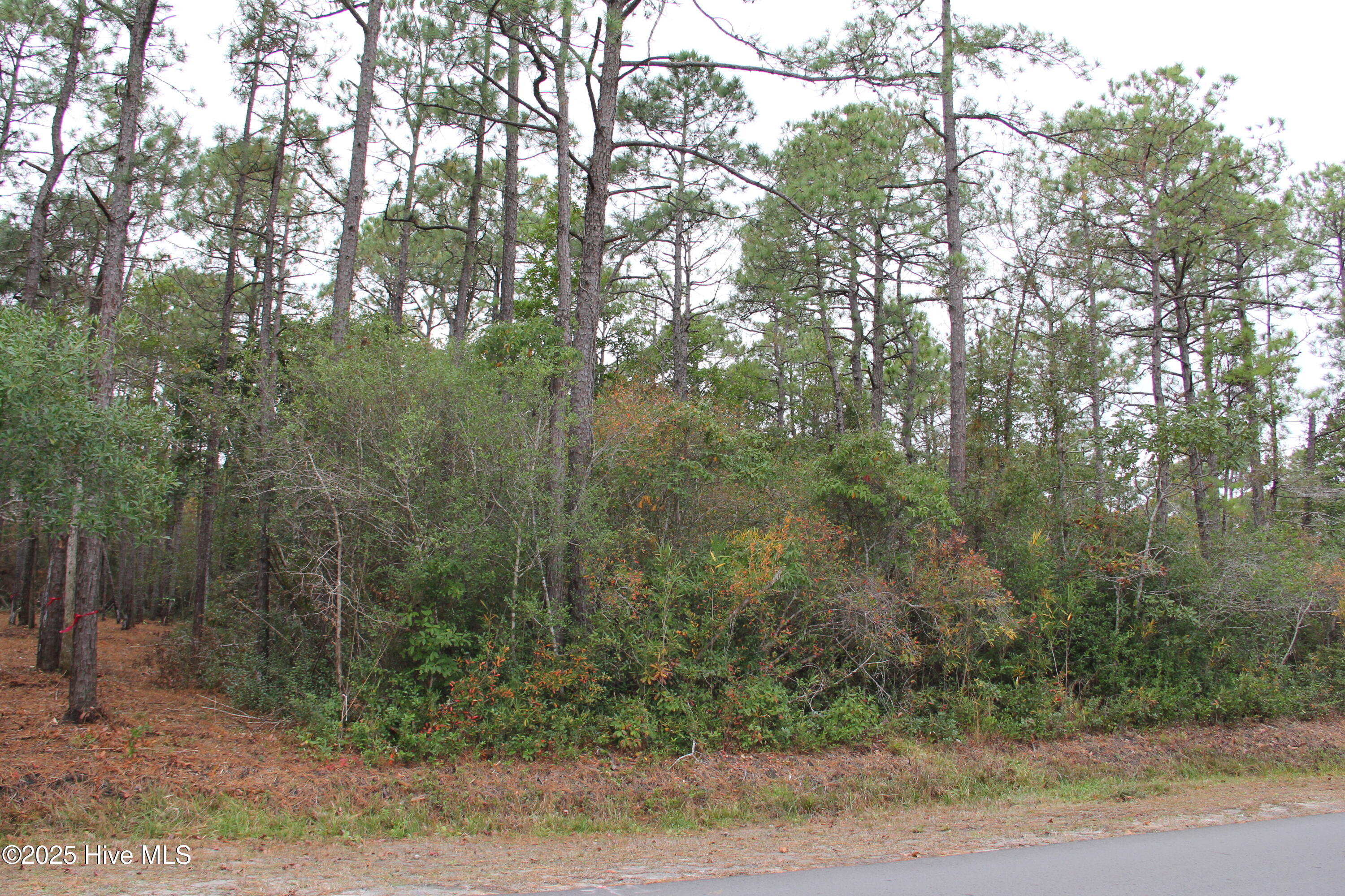 62 Pinewood Drive
