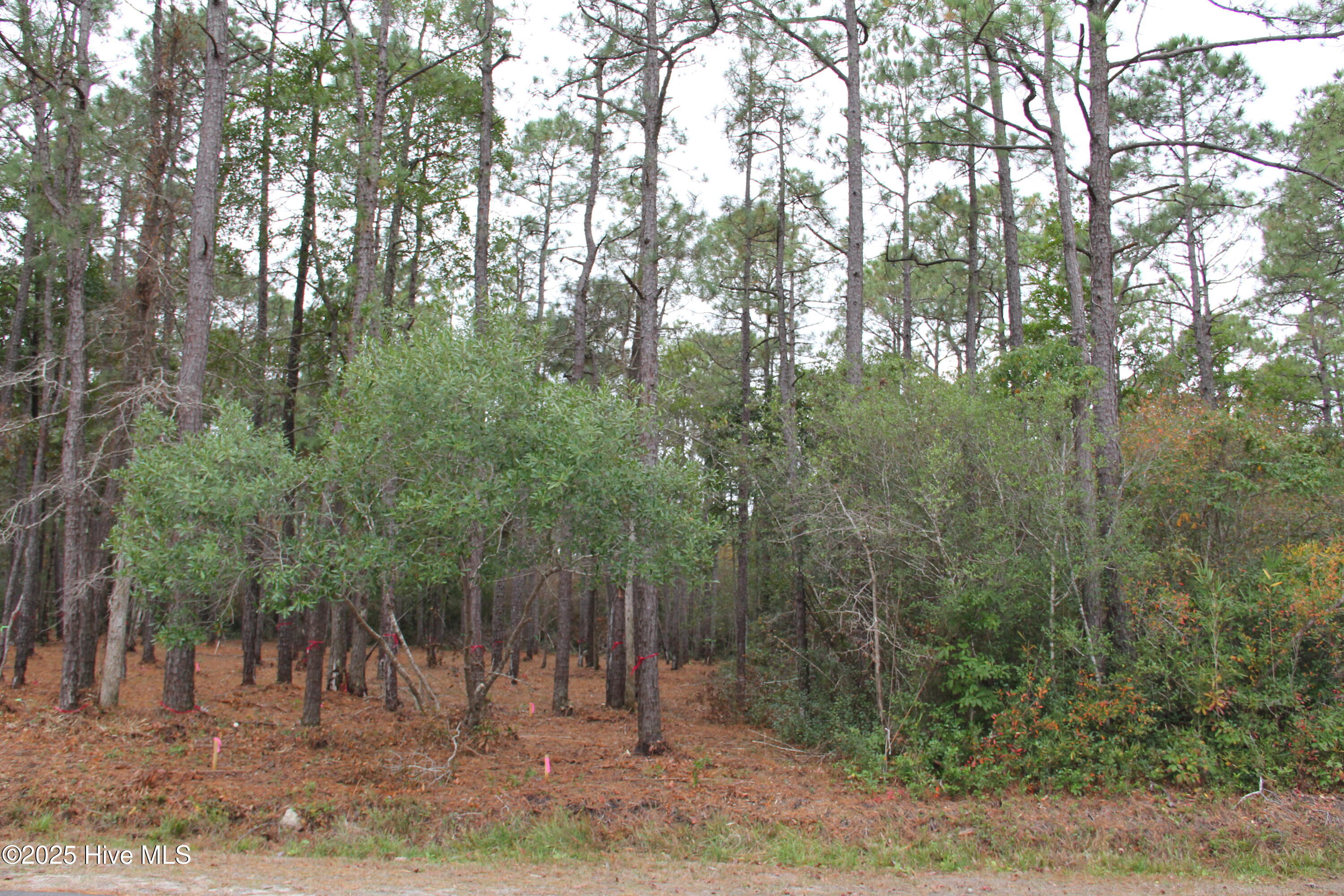 62 Pinewood Drive