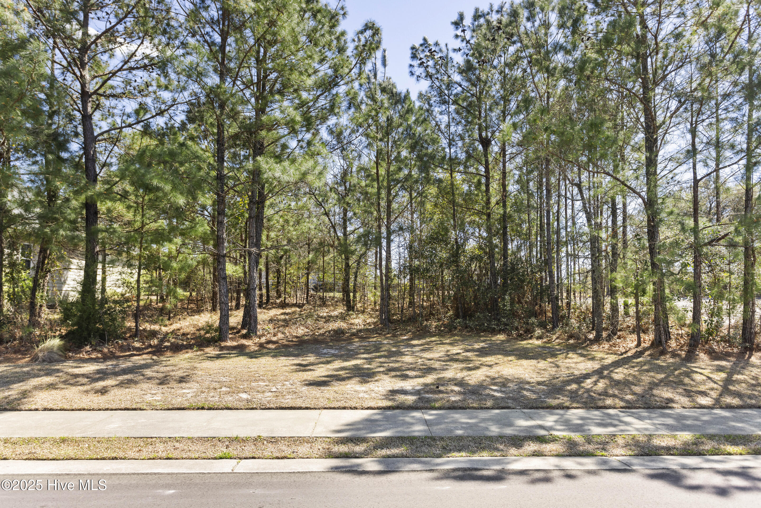 3020 Arundel Hill SW
