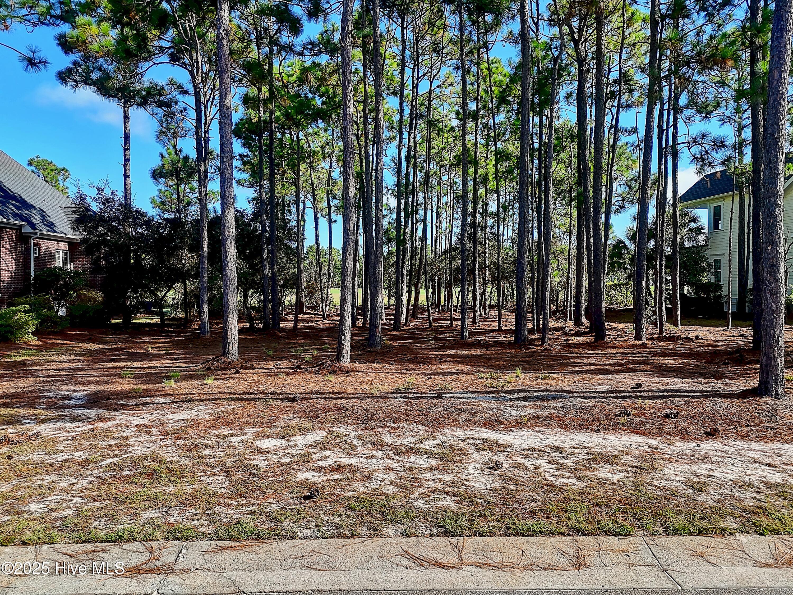 3158 83 Moss Hammock Wynd