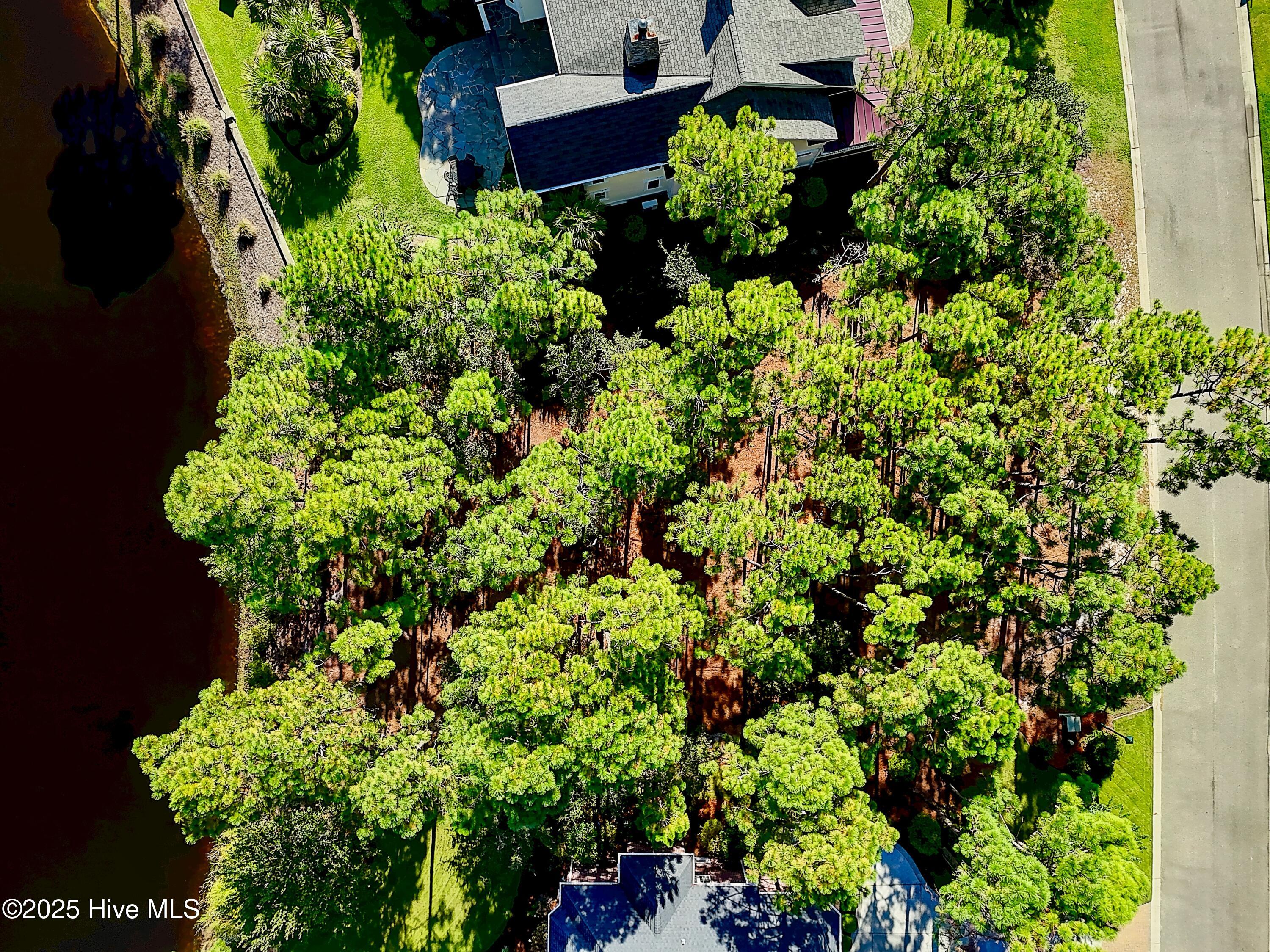 3158 83 Moss Hammock Wynd
