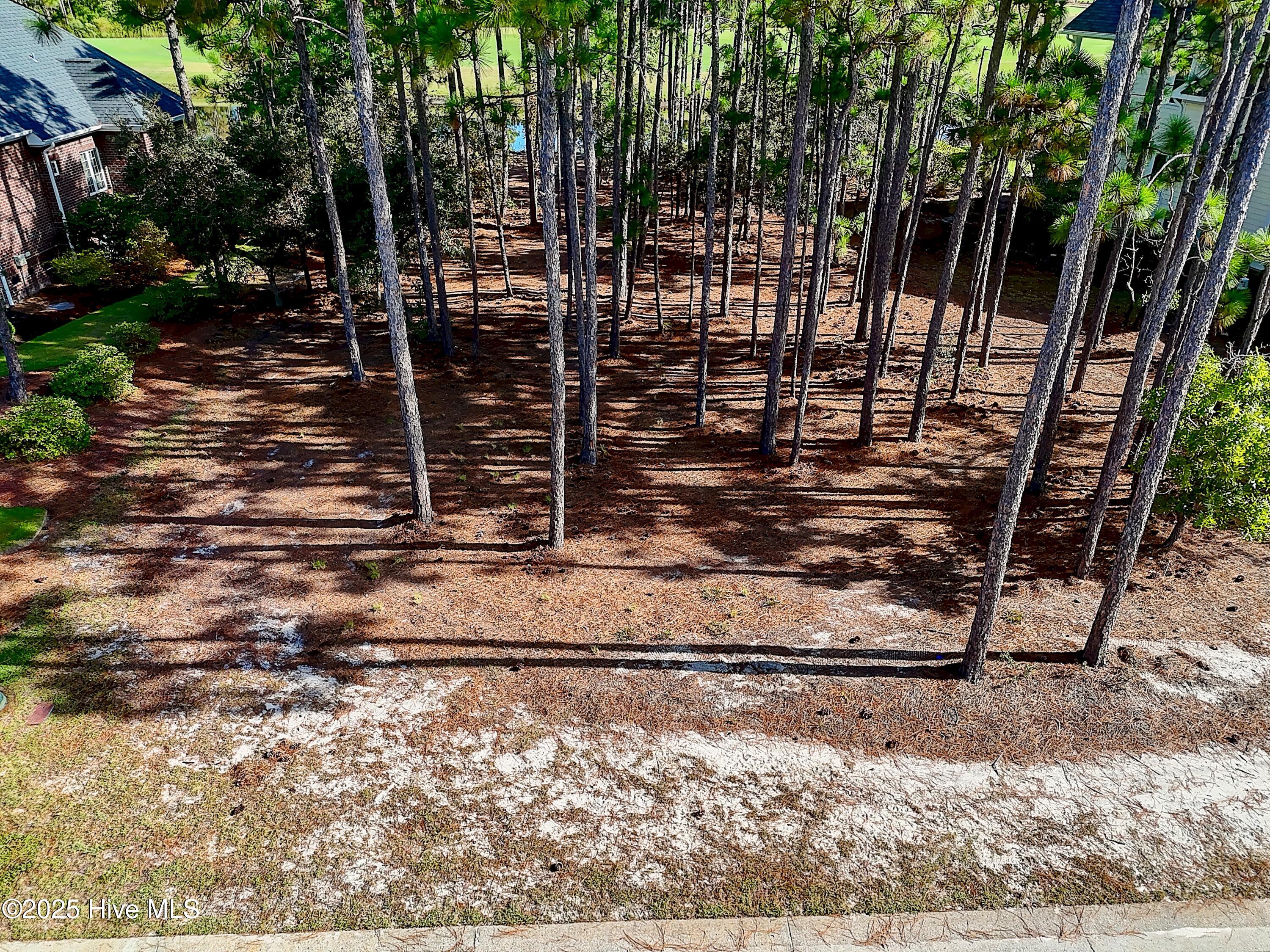 3158 83 Moss Hammock Wynd