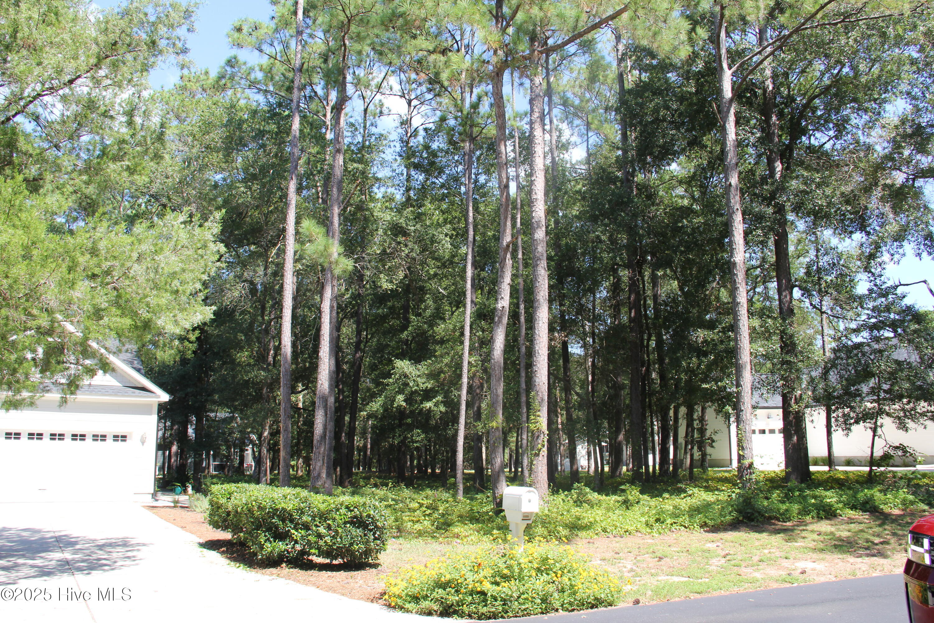 686 Folly Drive