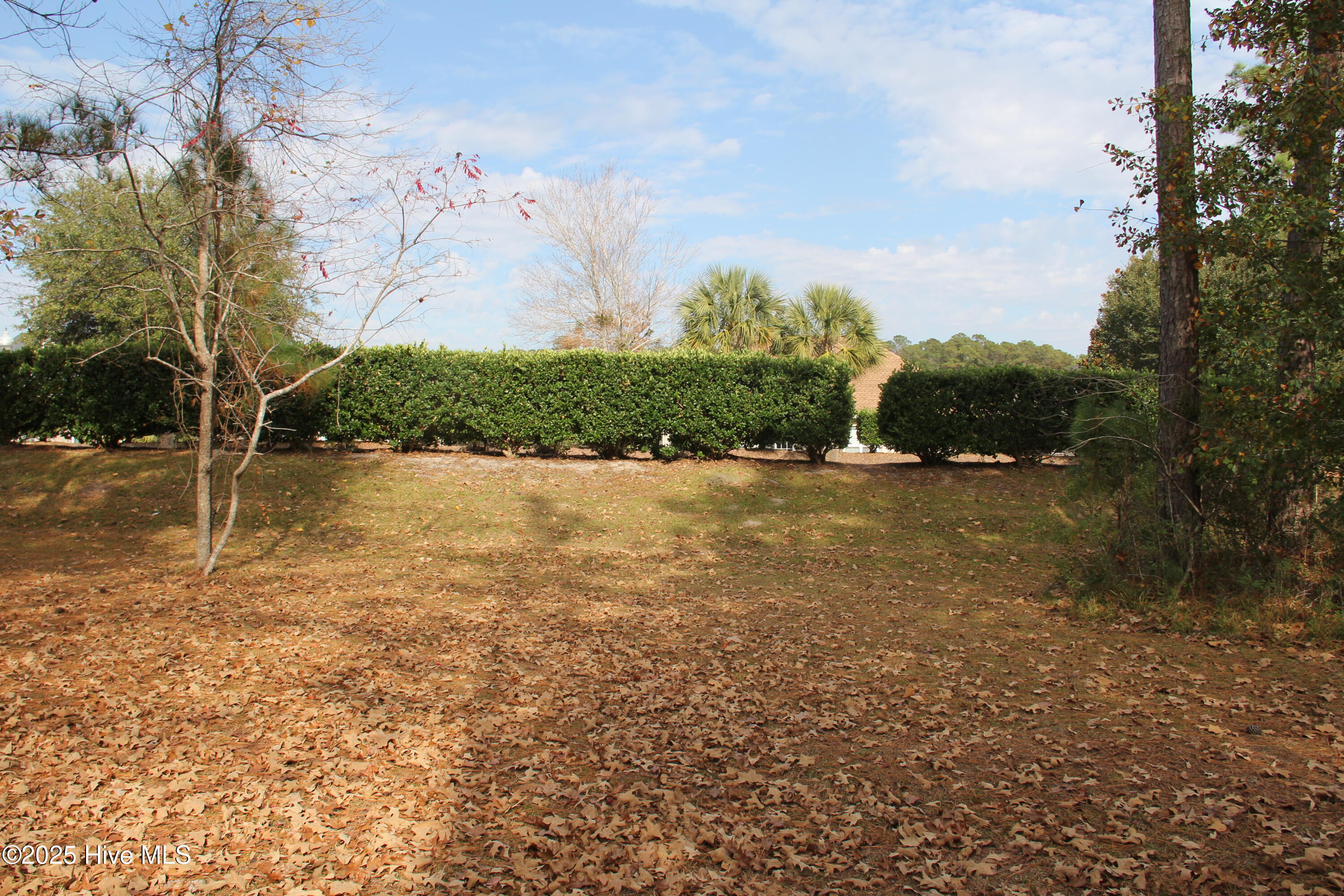 1193 96 Sabel Loop SE