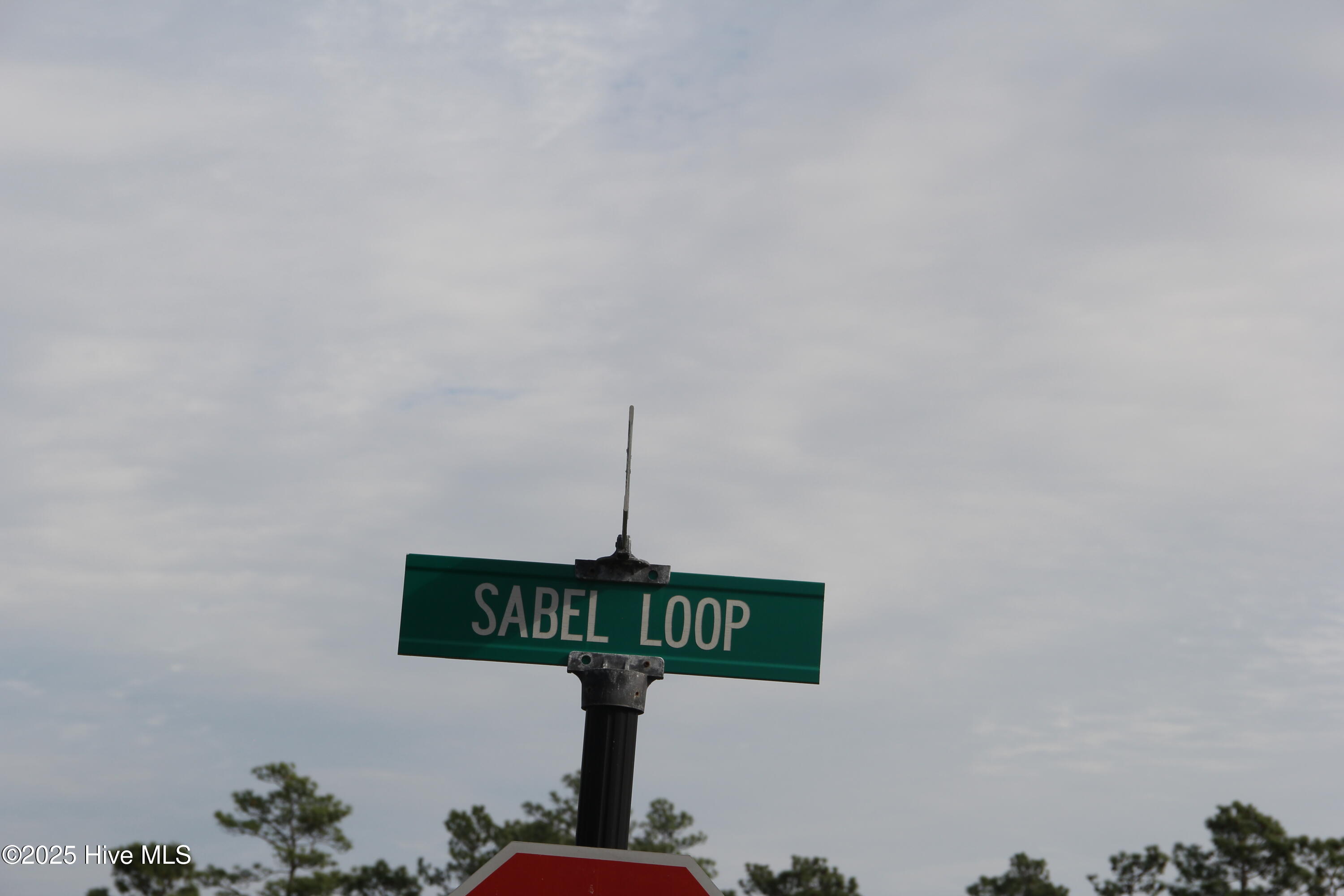 1193 96 Sabel Loop SE