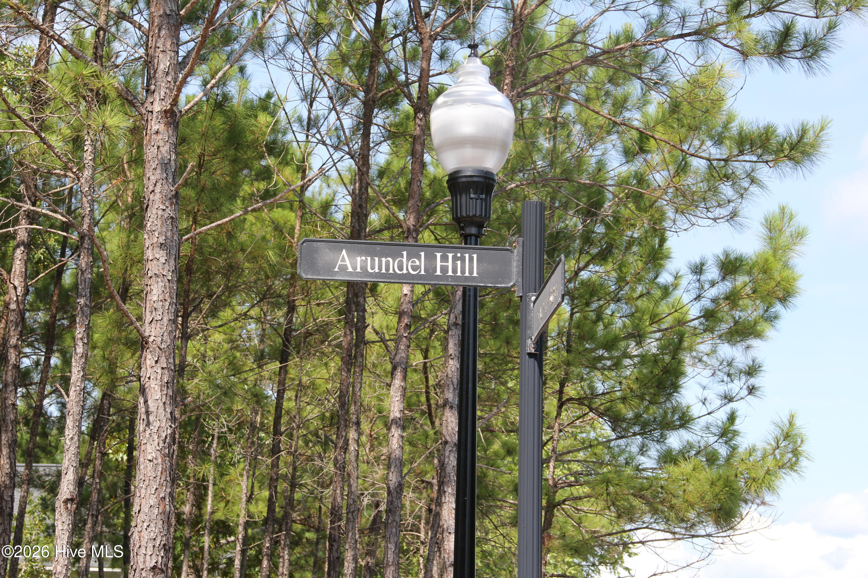 3005 Arundel Hill SW