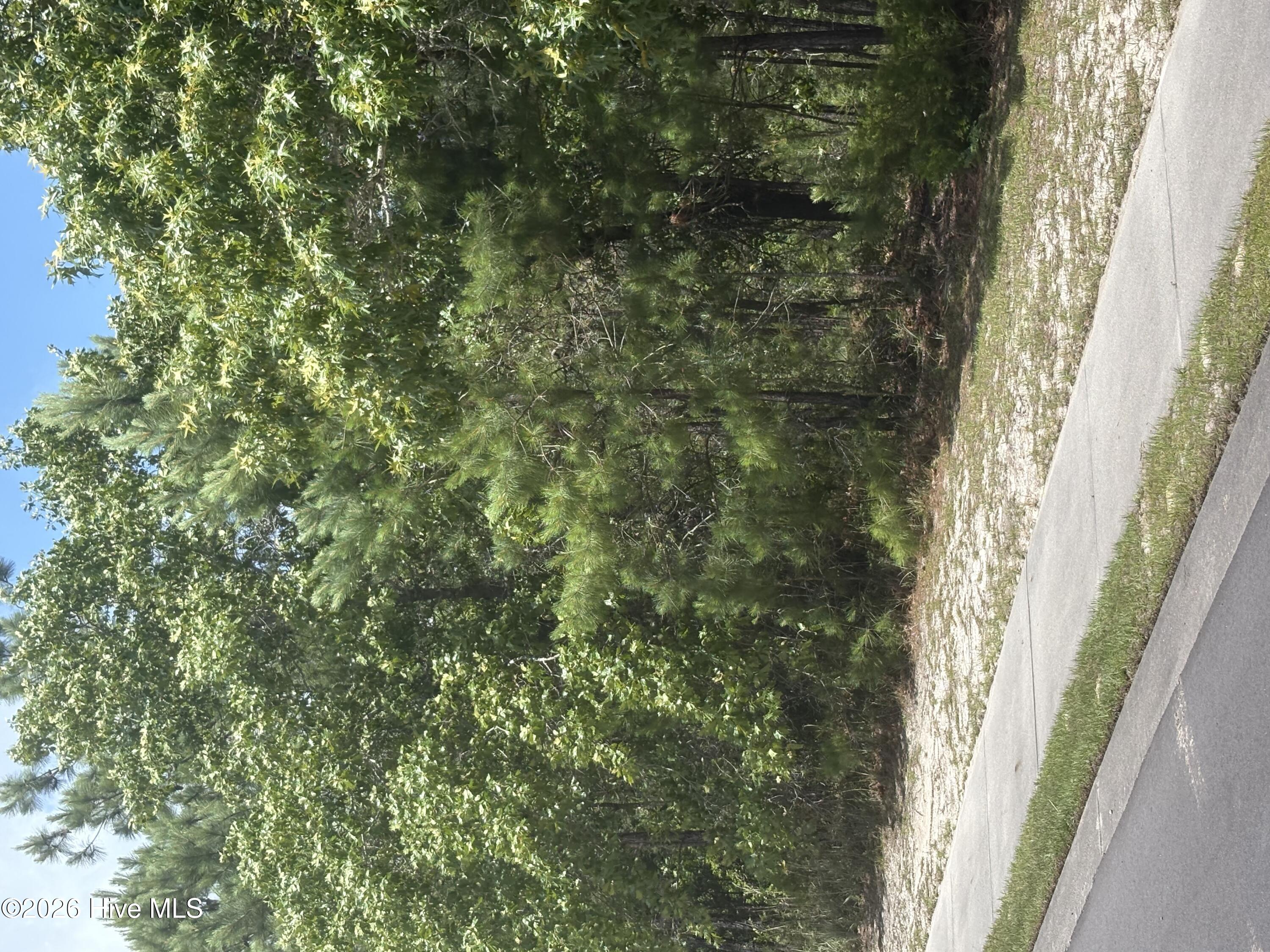 3005 Arundel Hill SW