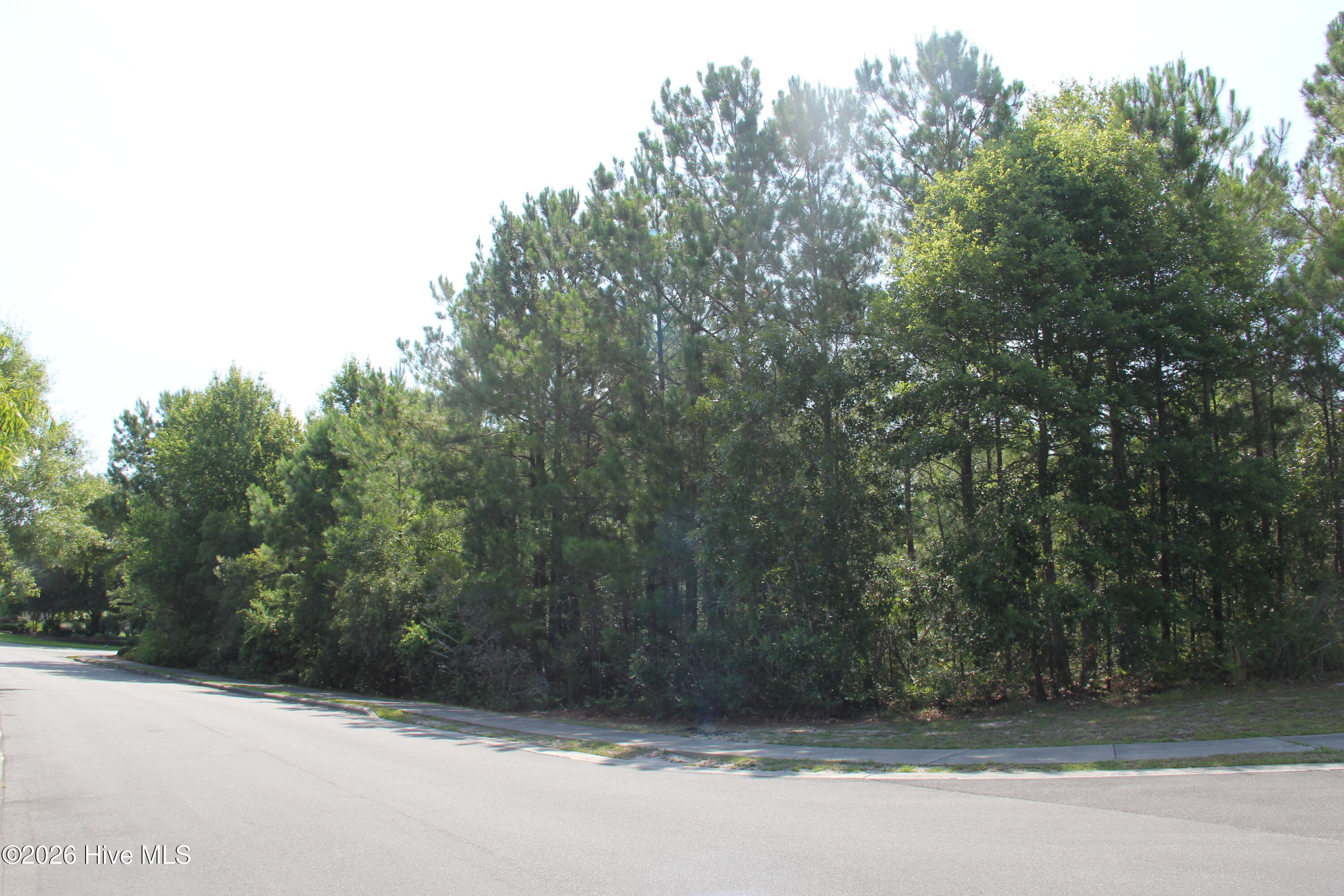 3294 96 Arundul Hill SW
