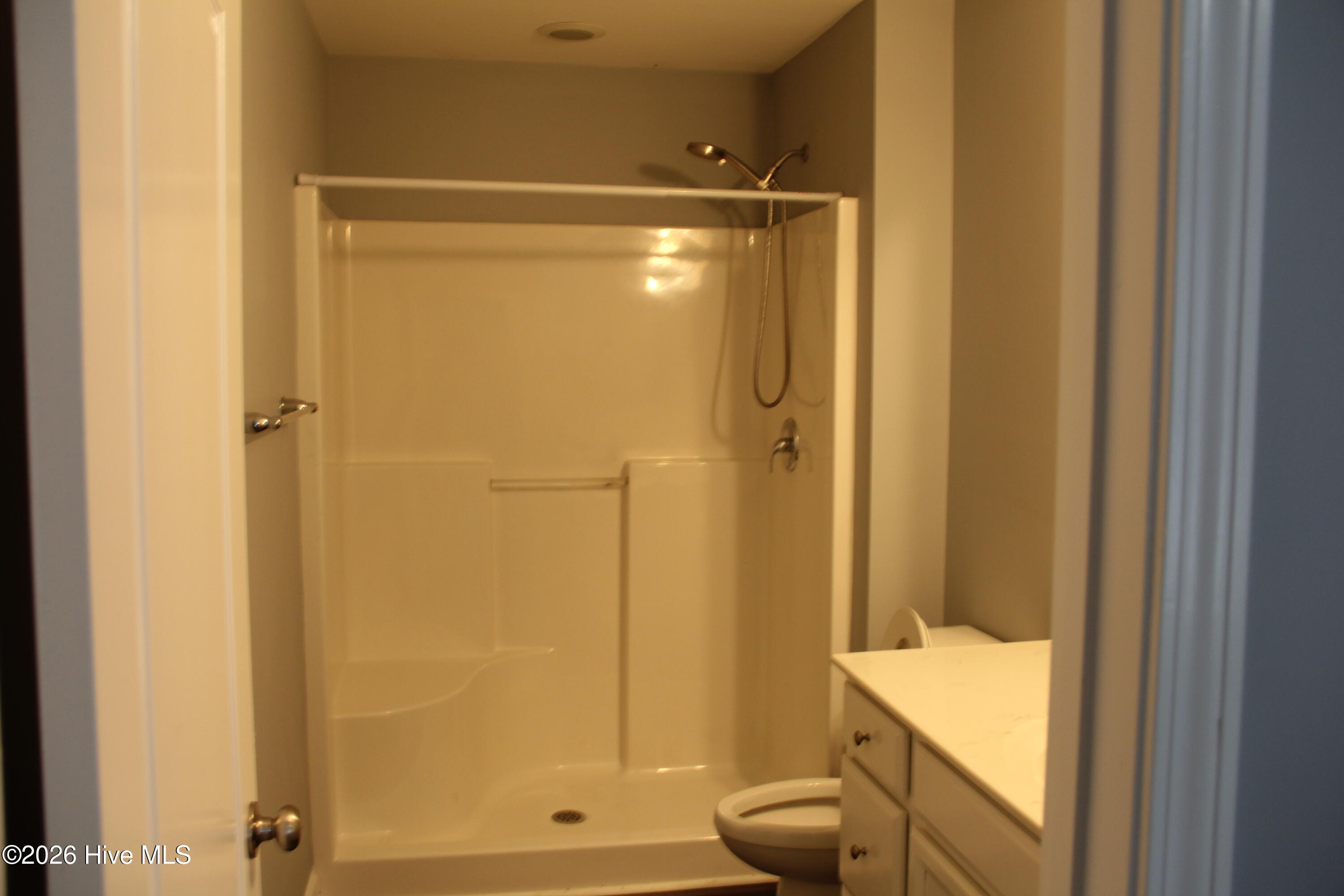 Bathroom with a large shower enclosure, handheld showerhead, toilet, and light-colored vanity.