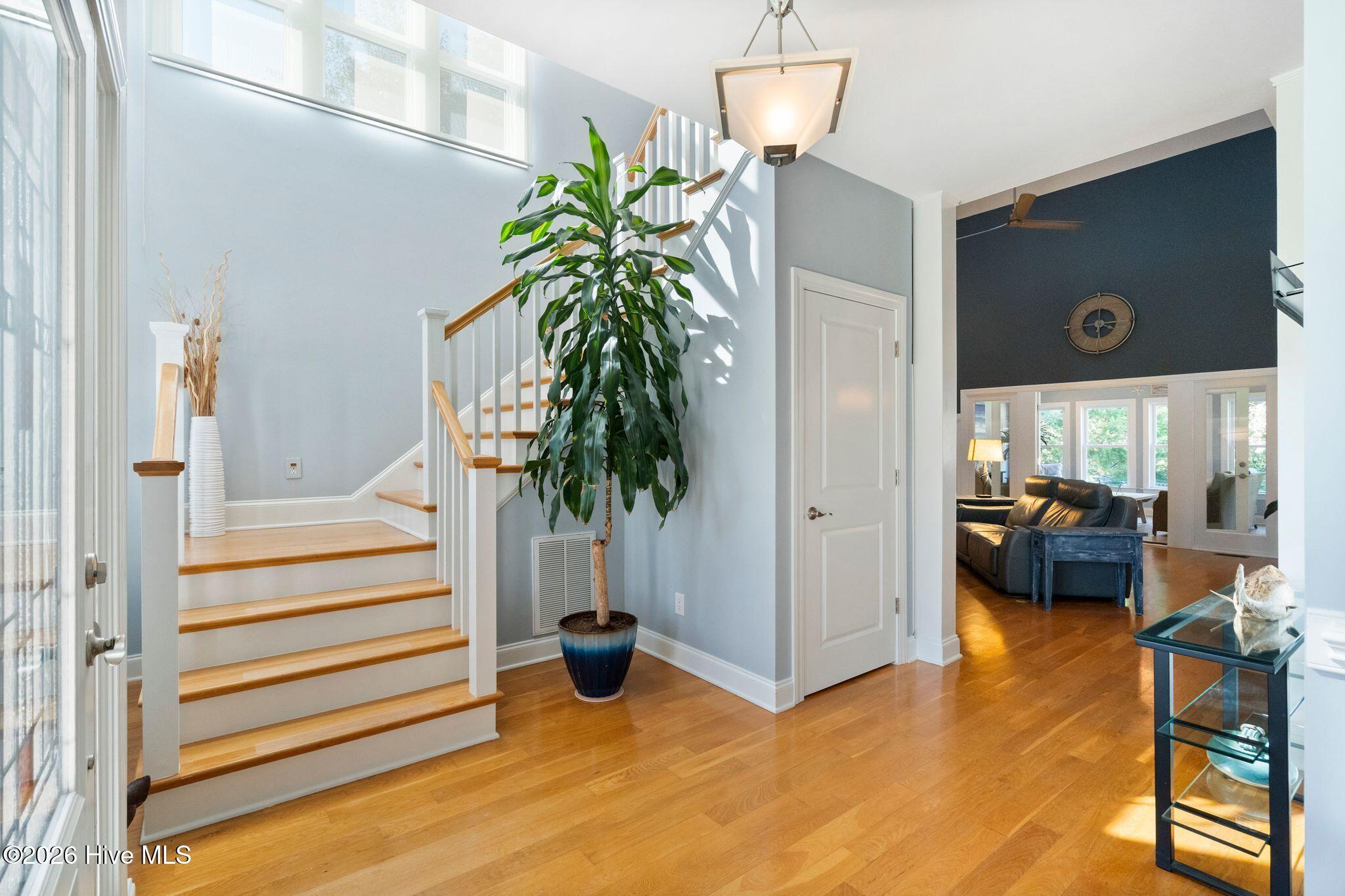Foyer with a wood staircase, hardwood floors, and a large potted plant beside the living room.